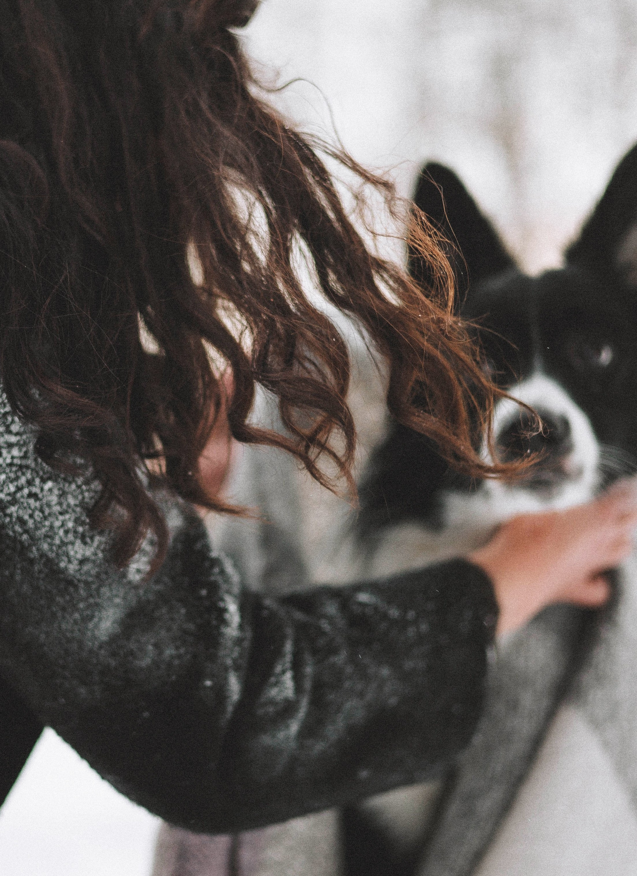 Алина и Найт. Фотограф-анималист Богданова Полина