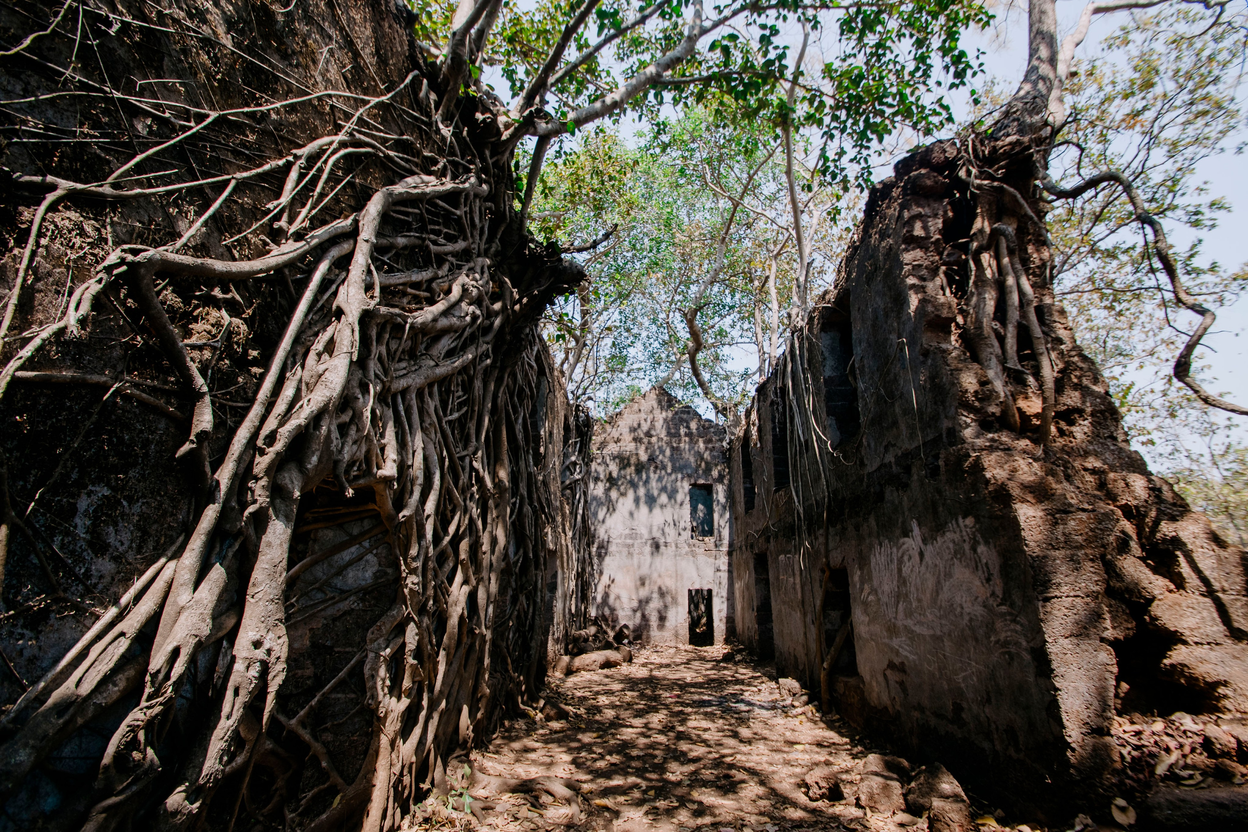 Гоа. индия. Iraogo