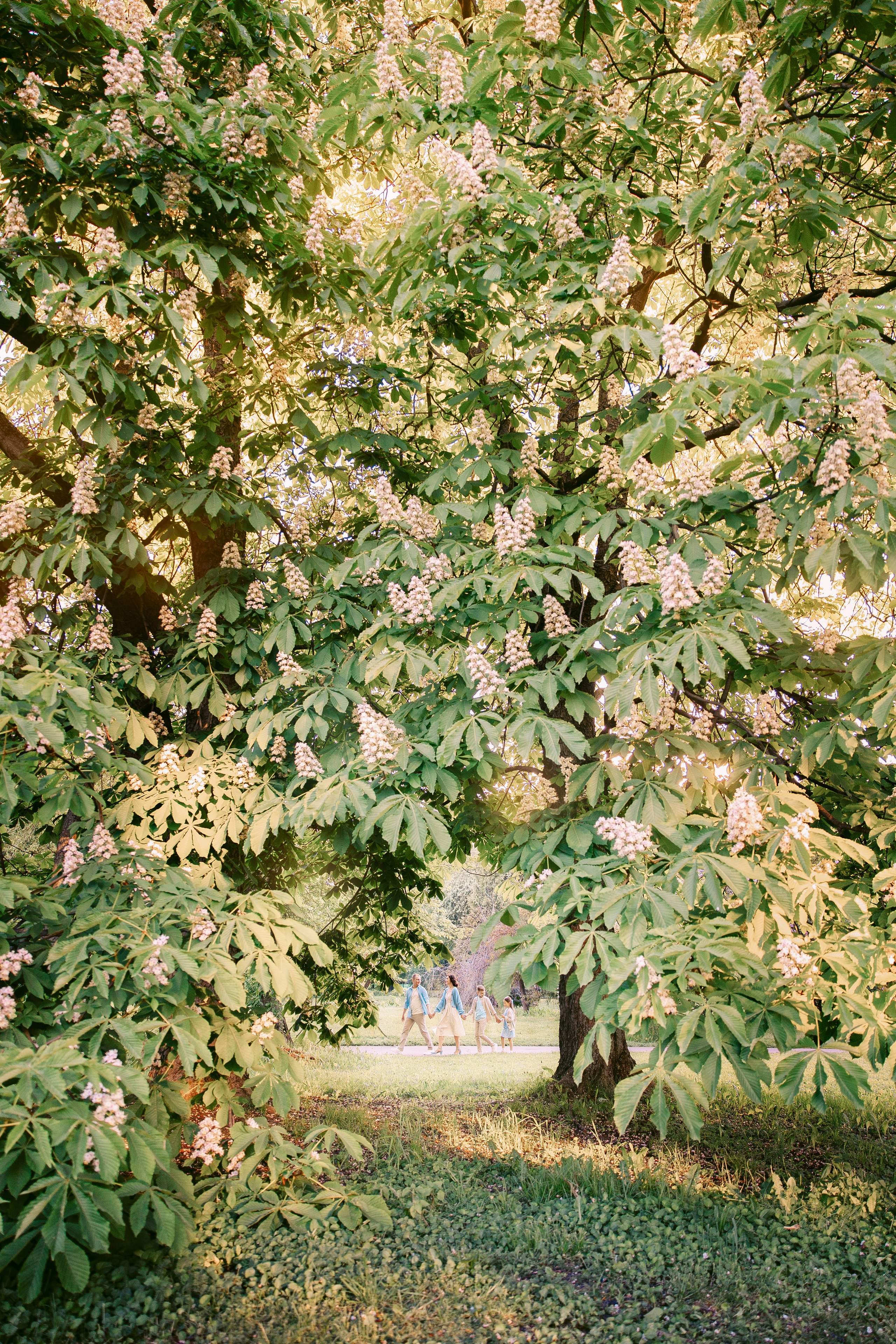 Идея для семейного портрета