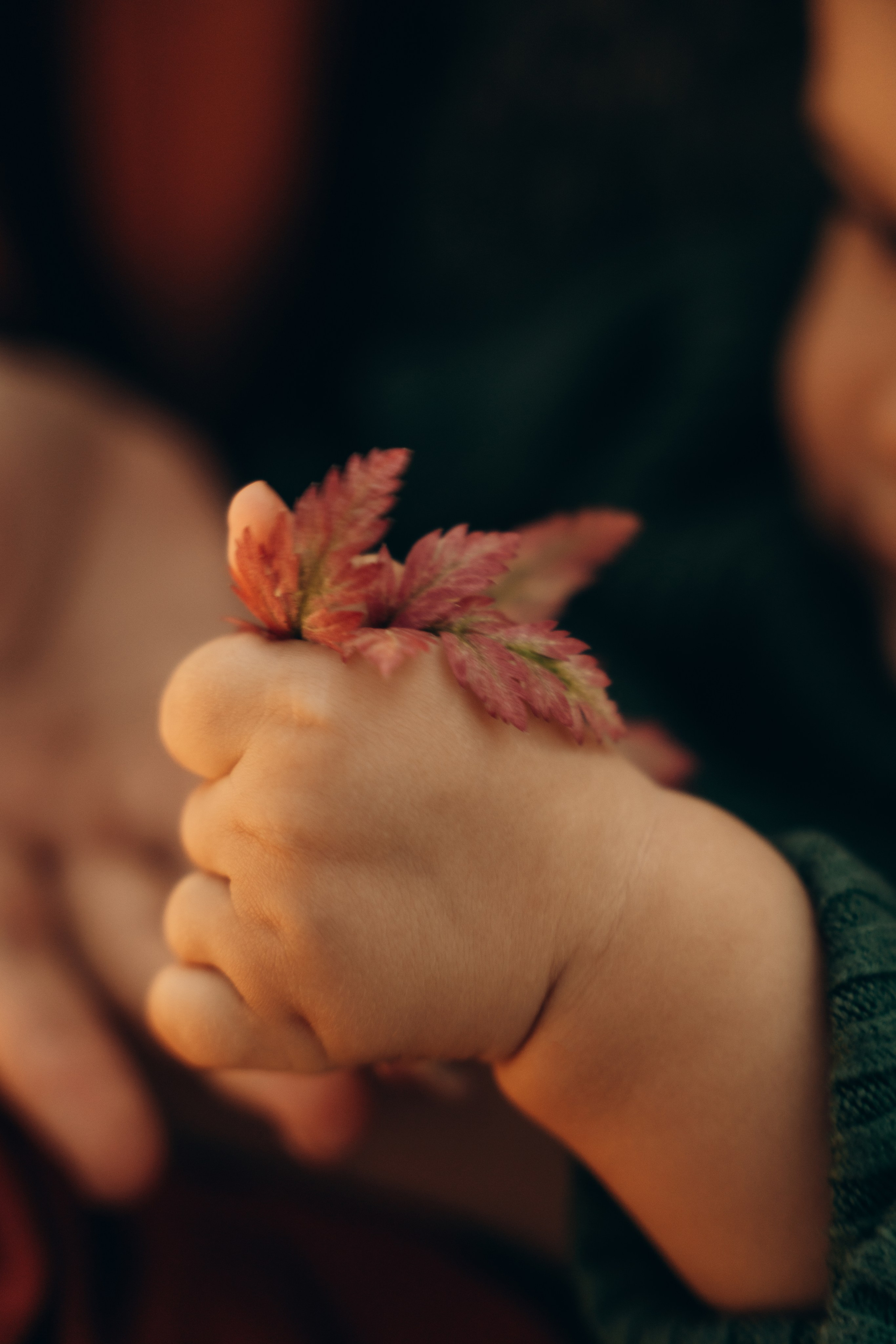 Вика и Егорка. Фотограф в Минске — Мария Миллс