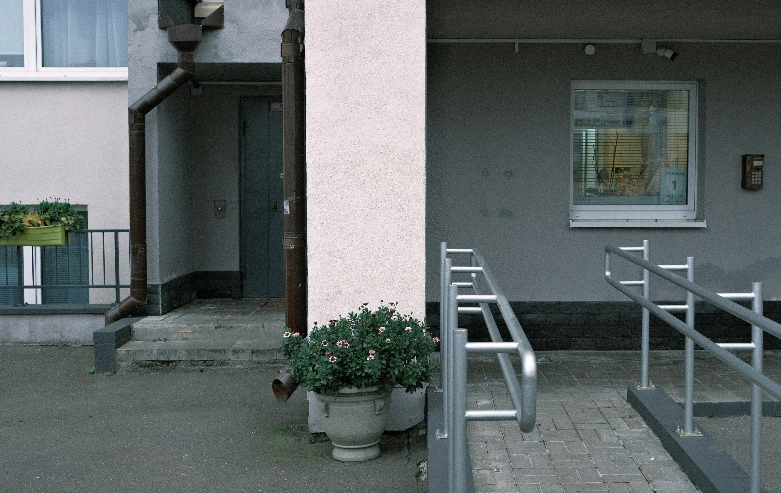 Blog. Aliaksandra Svirelina