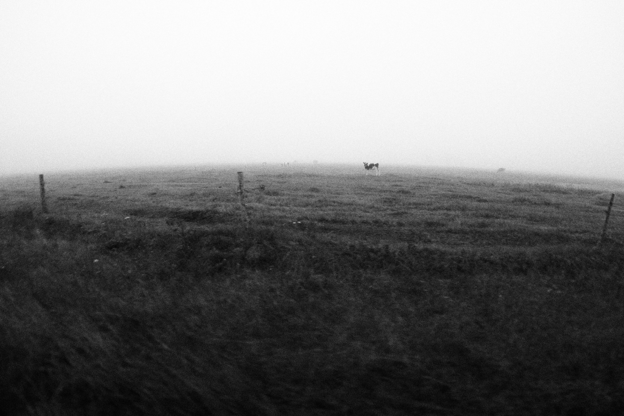 Промежуточные моменты (2023)