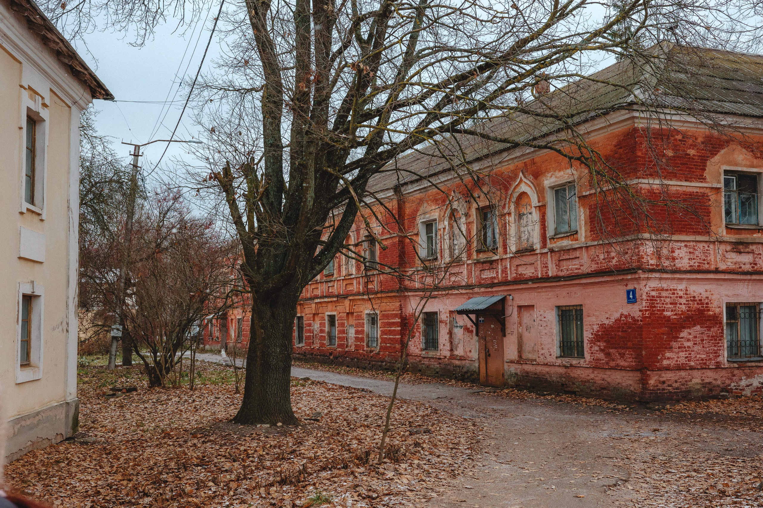 2023.11. Фотограф Алексей Алексеев