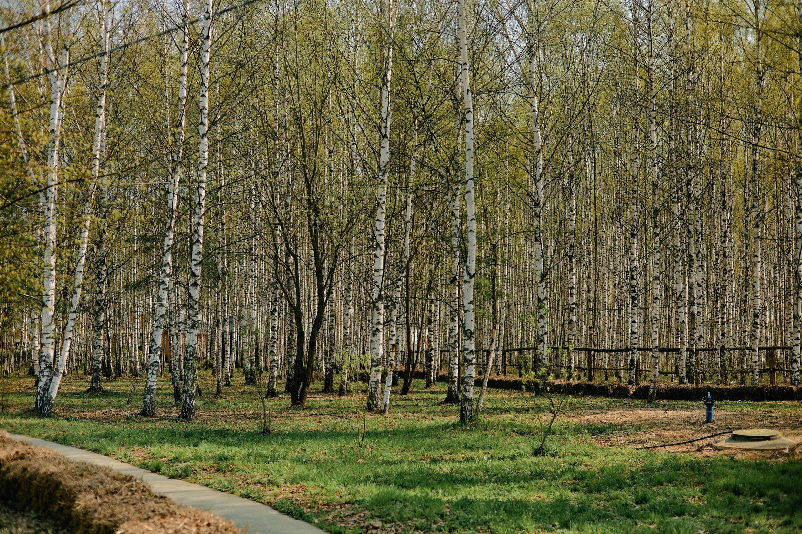 Бутик-отель Поле летом. Профессиональный Фотограф во Владимире, в Москве и в Суздале — Полина Романычева