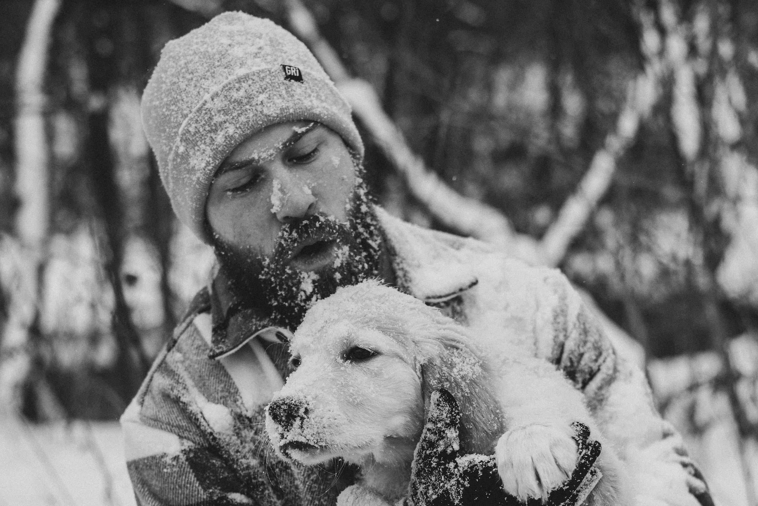 Sonia, Denis & Baggi. Natalia Finch Photography — Family, Kids & Pet Photographer in Chicago, IL