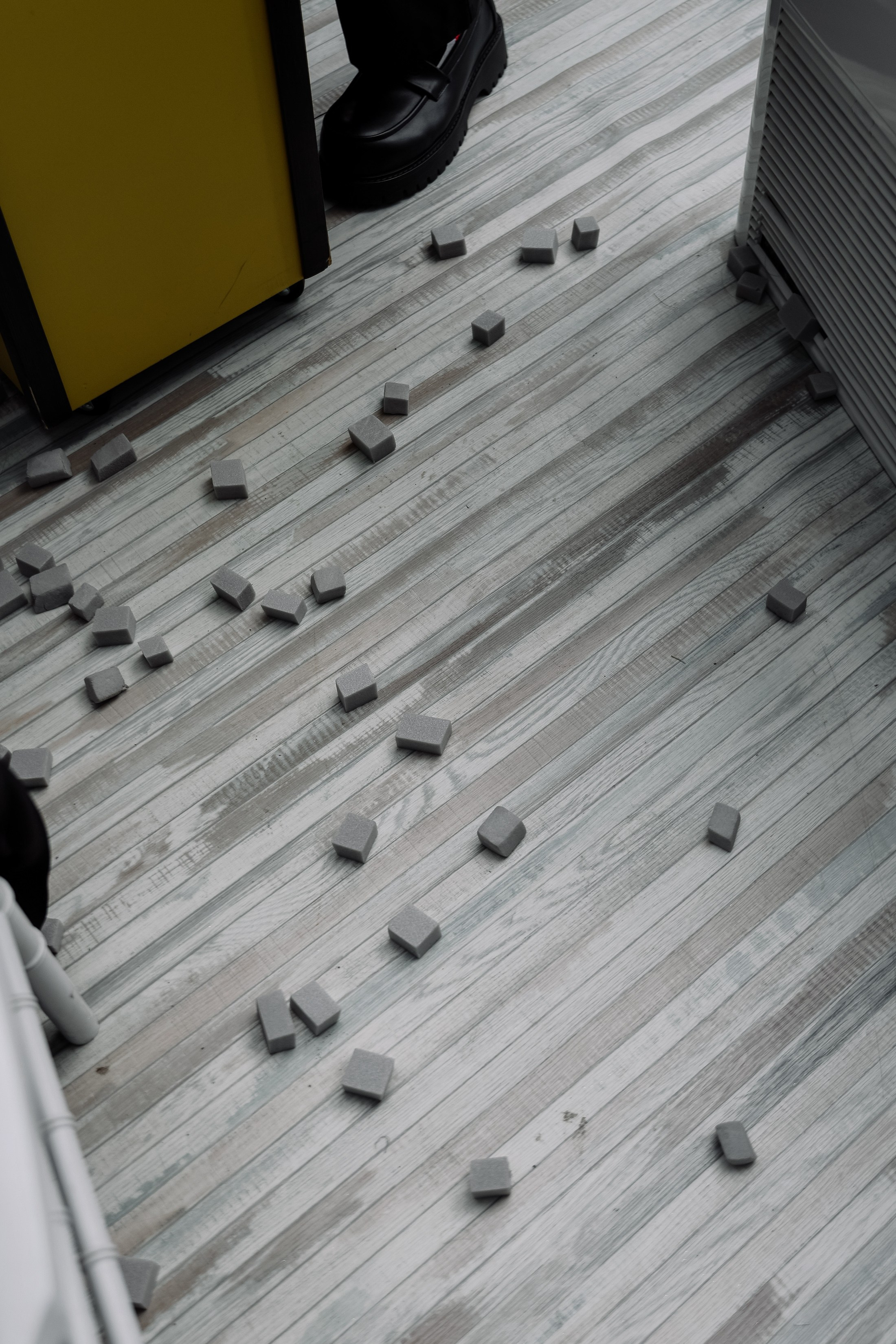 Show To day Выпускной. Фотограф Юлия Мальцева