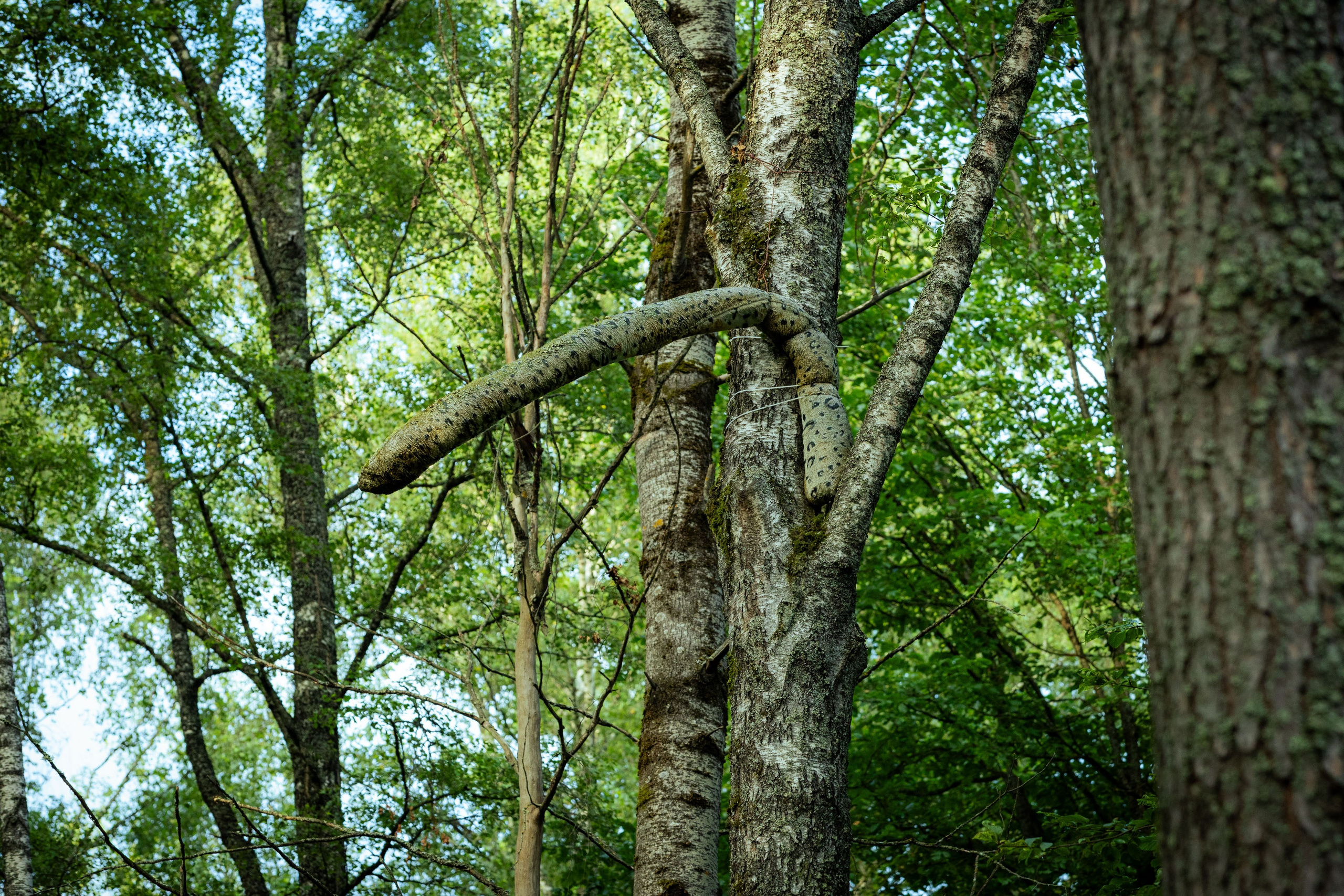 Архстояние 25–27 июля 2025. Фотограф Виноградов Константин