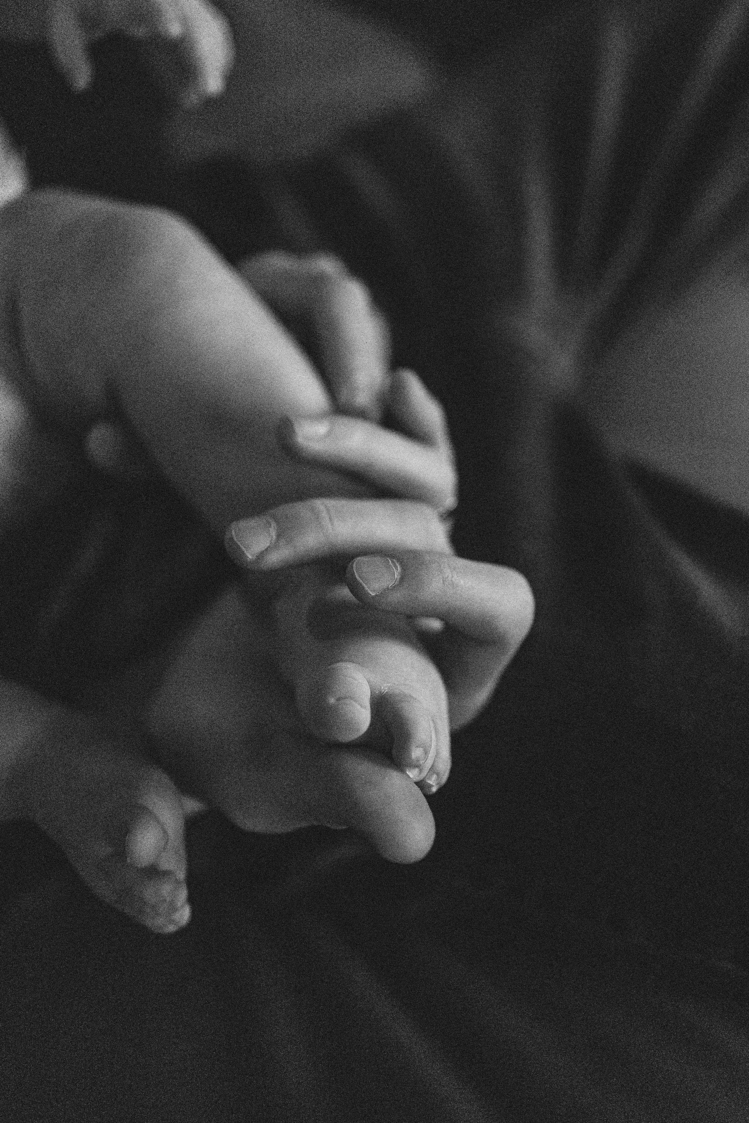 Семейная история. Семейный и детский фотограф, таганрог, ростов-на-дону