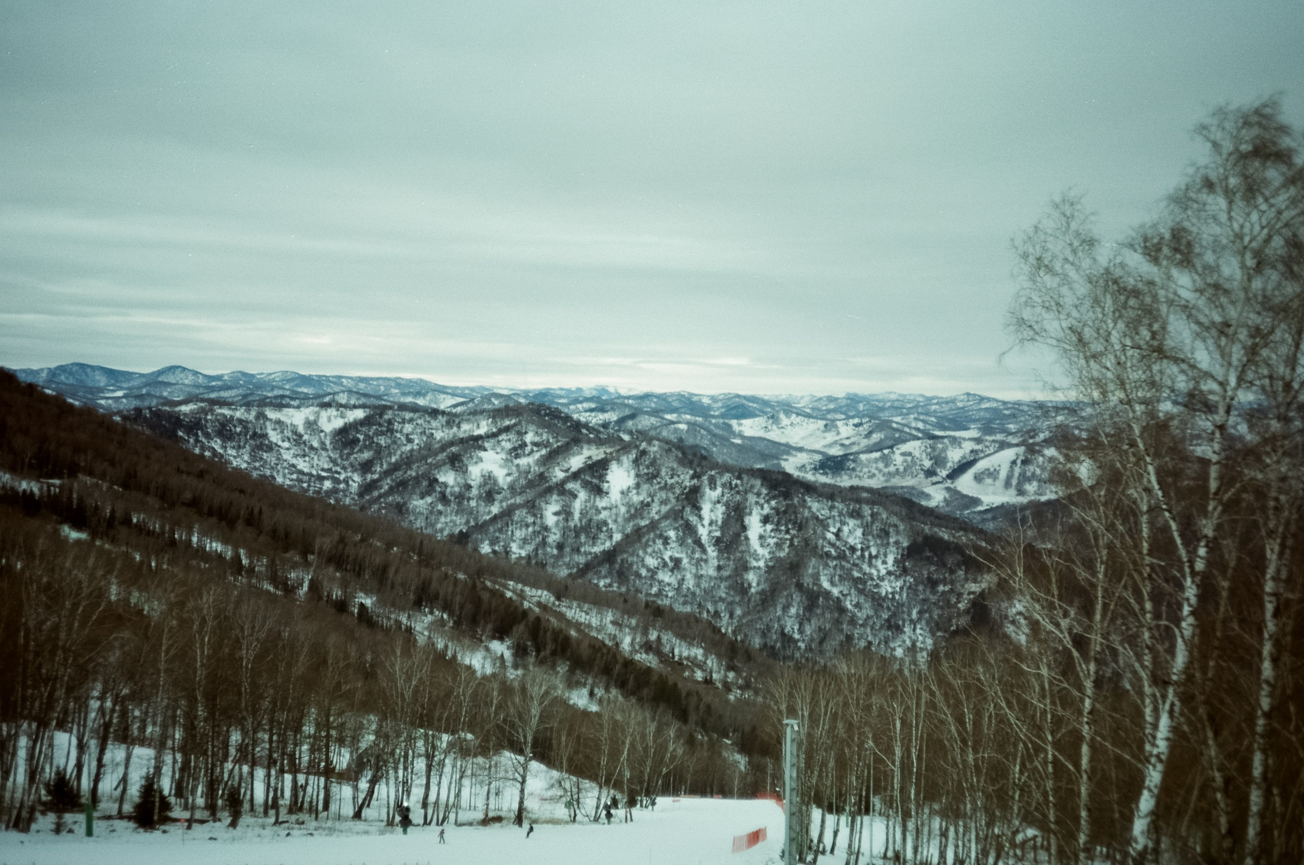 Горно-лыжный курорт Манжерок / 22 декабря 2023 года (0℃)