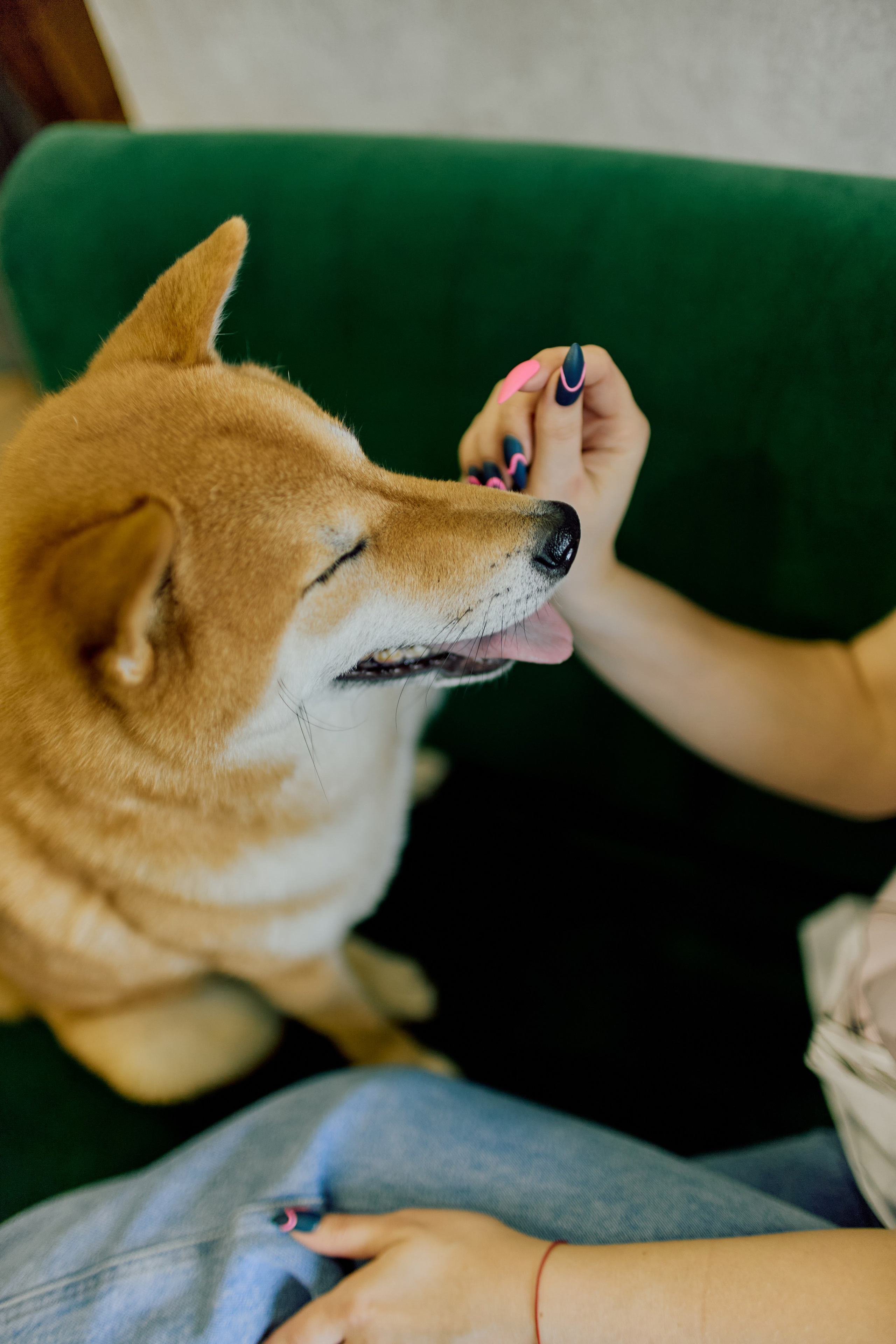 Tanya & Kurama. Свадебный фотограф Москва и ЮГ