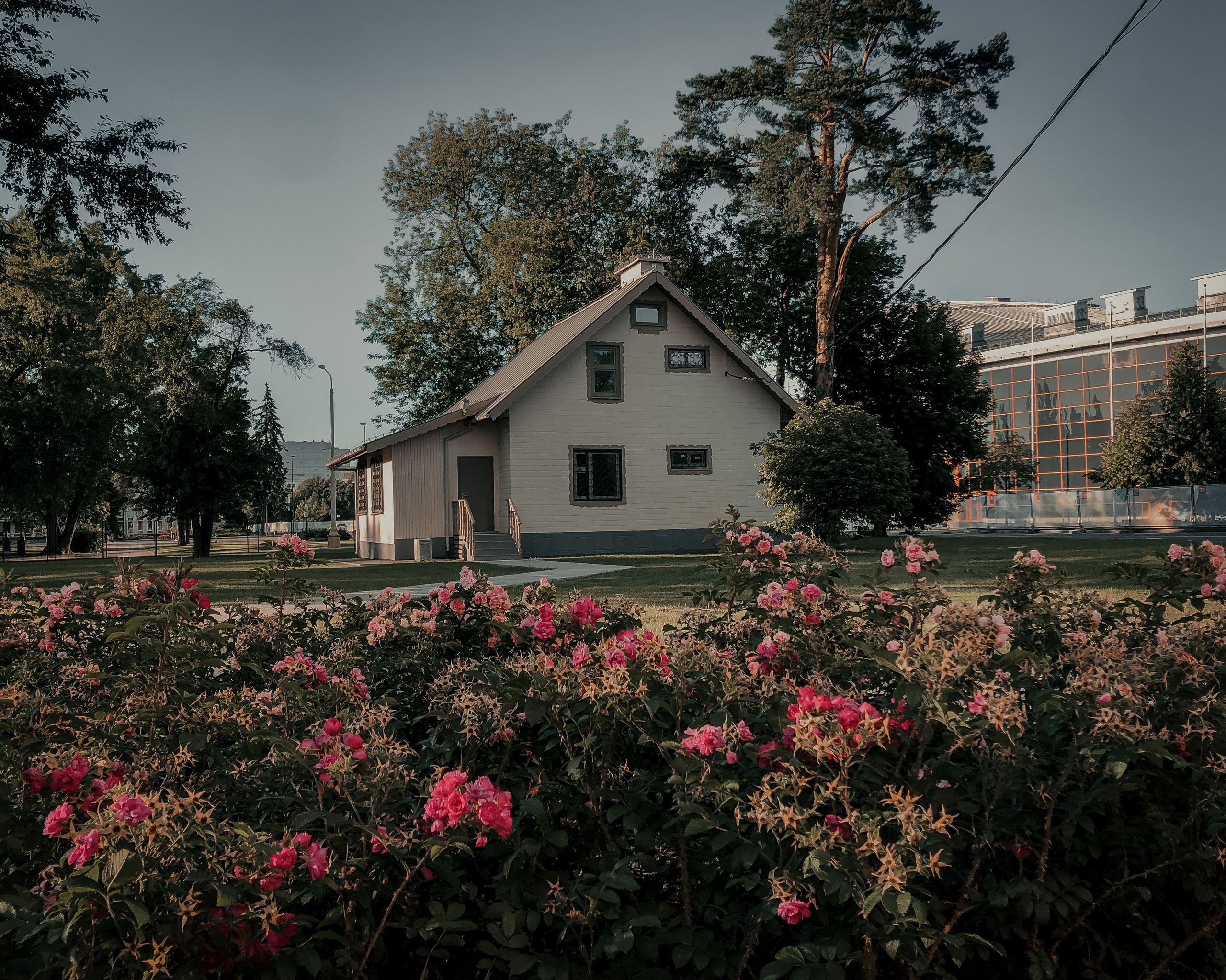 VDNX. NOIZOMAX Художественный фотограф в Дубай