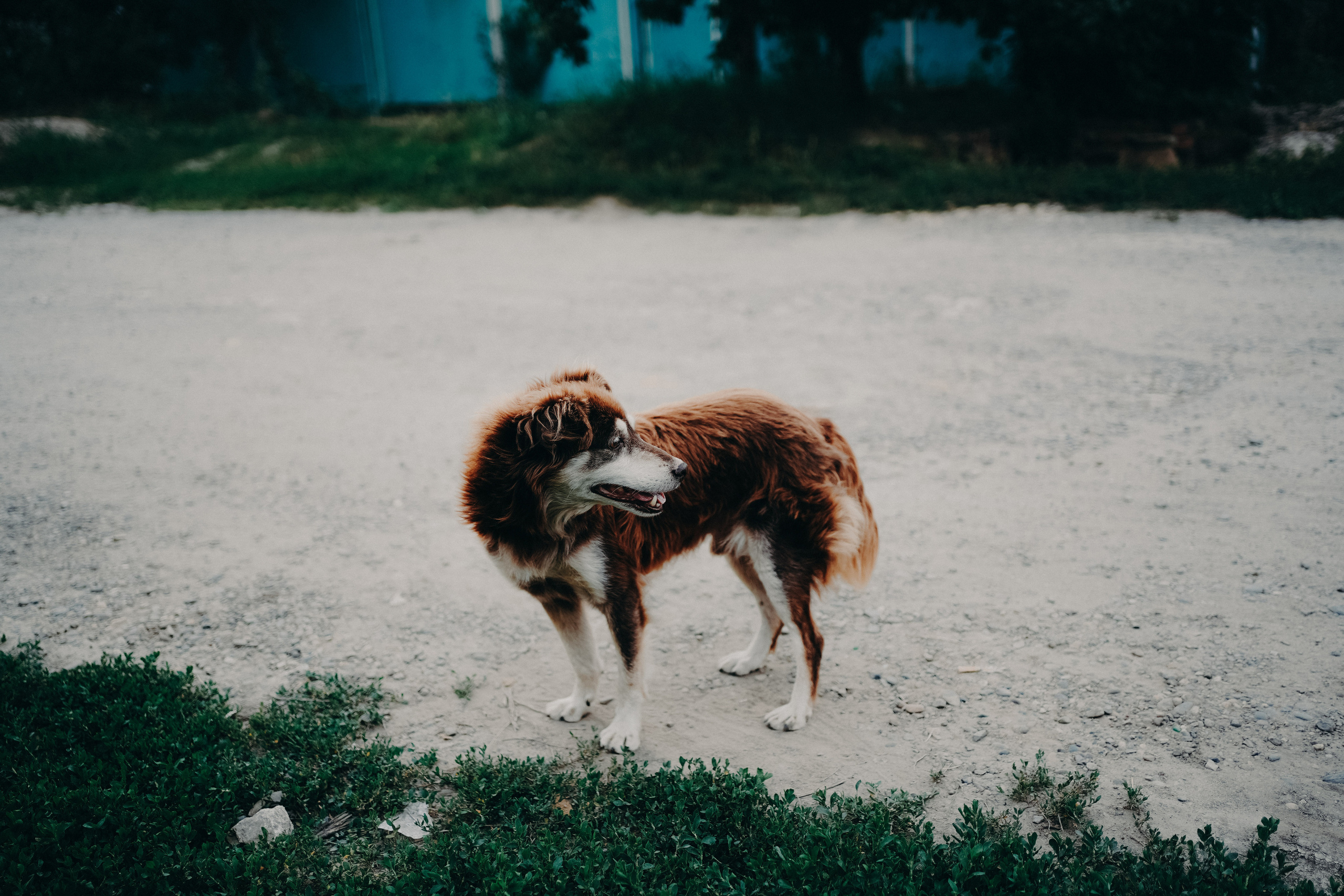 Есенькины друганы. Ася Краснова