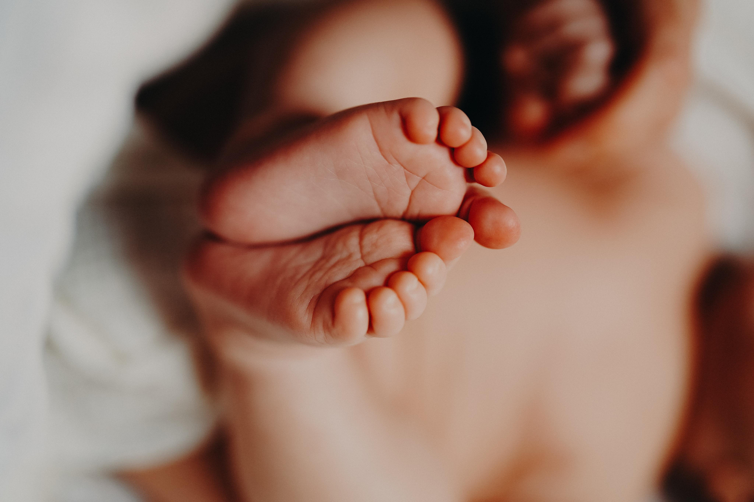 Пока готовили пирог. Ася Краснова