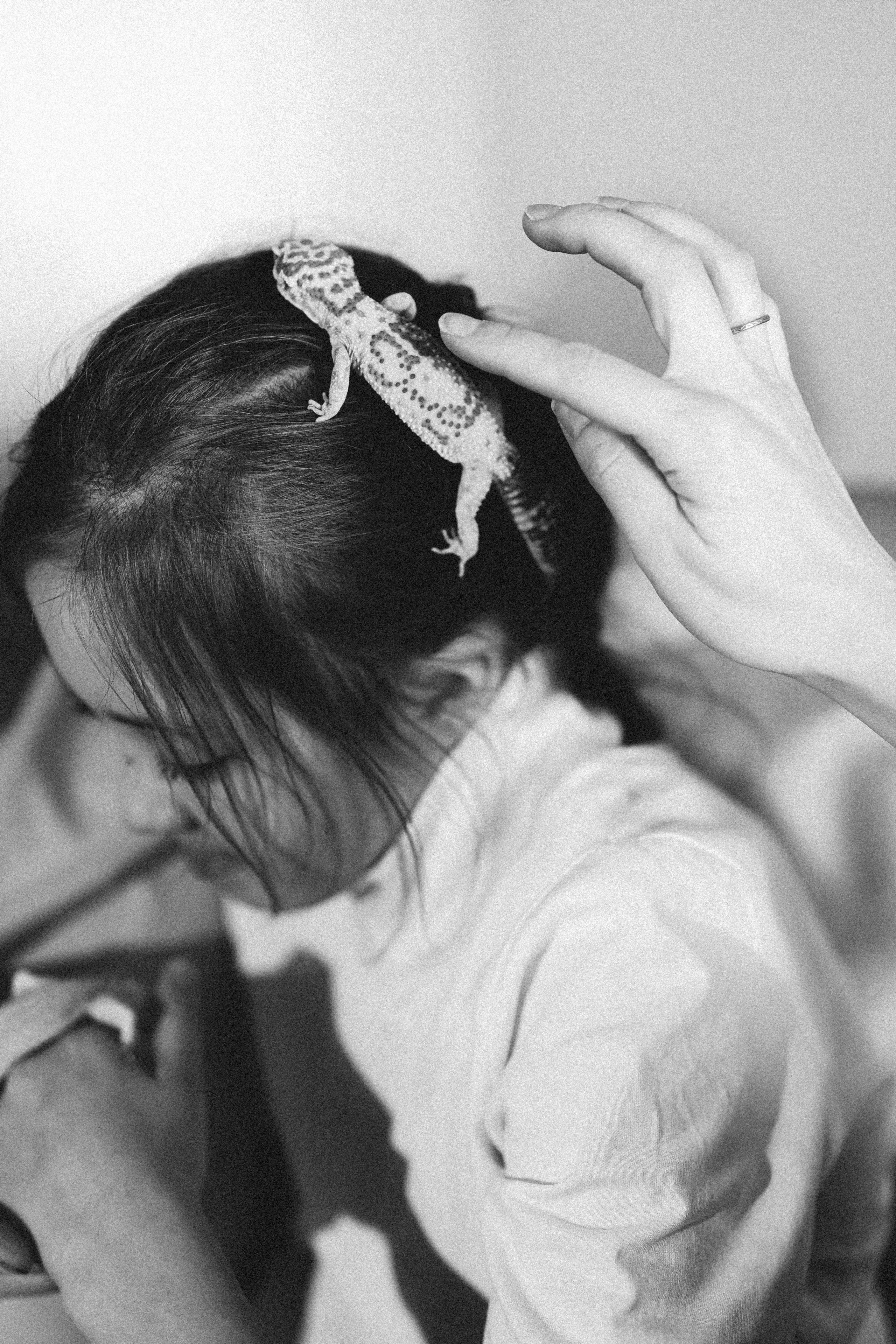 Мама, папа, новый дом. Ася Краснова