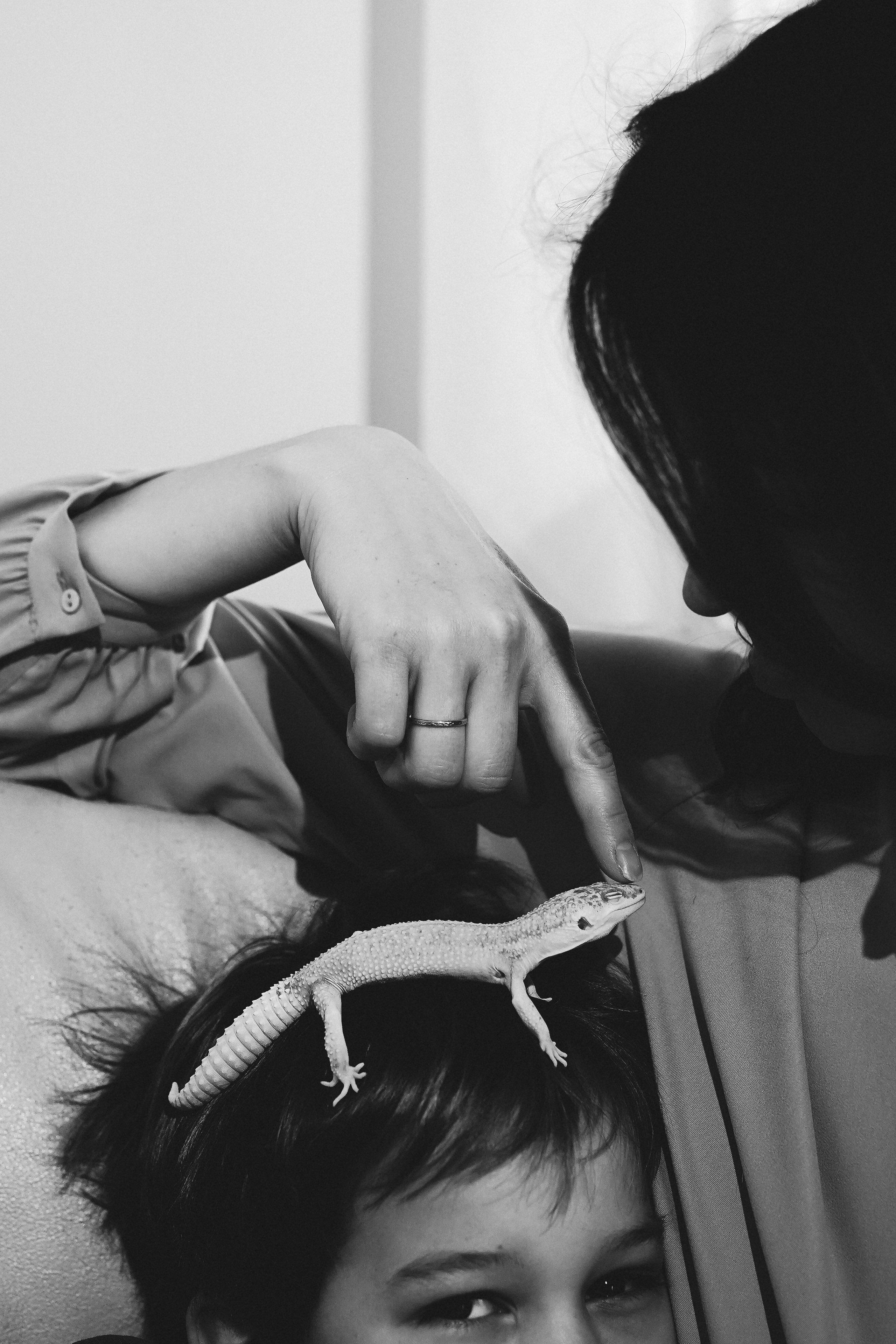 Мама, папа, новый дом. Ася Краснова