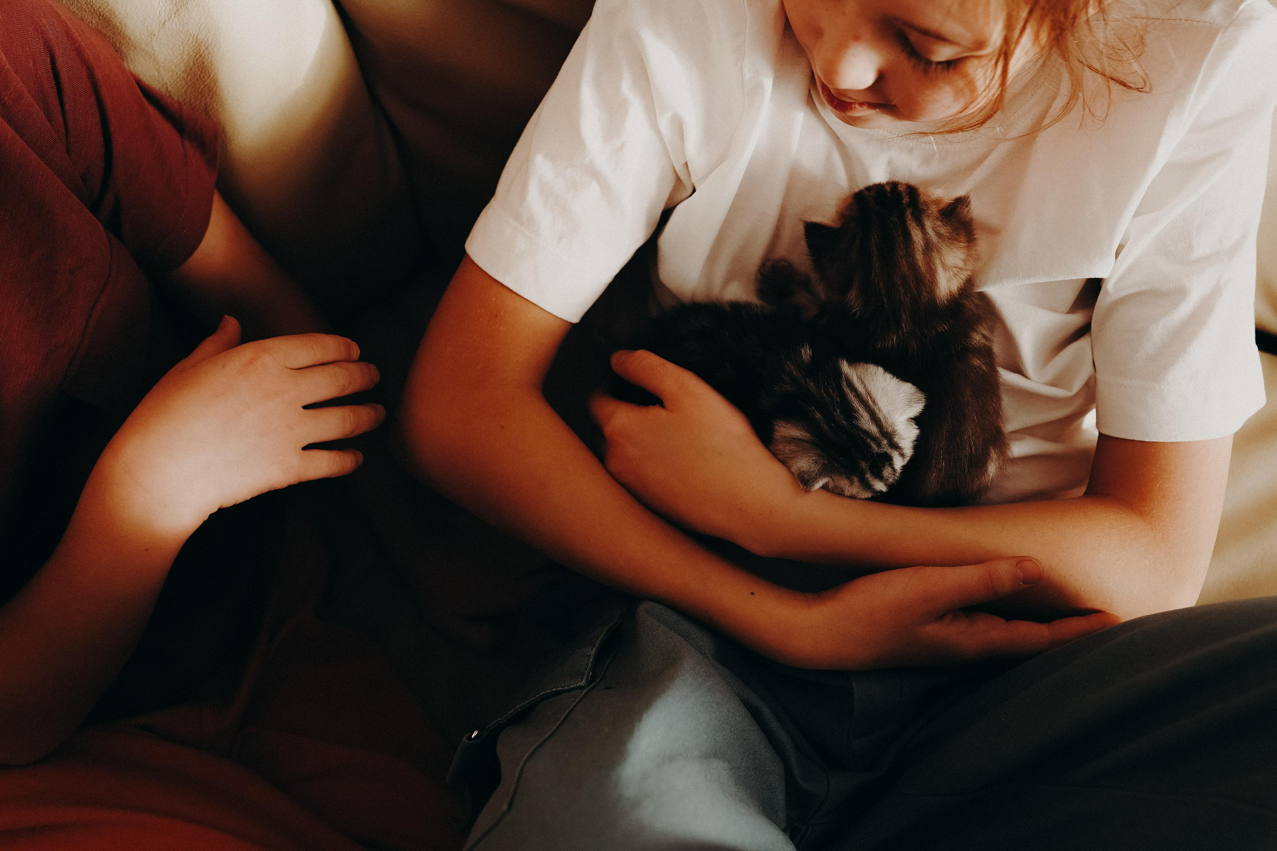 Мама, папа, новый дом. Ася Краснова