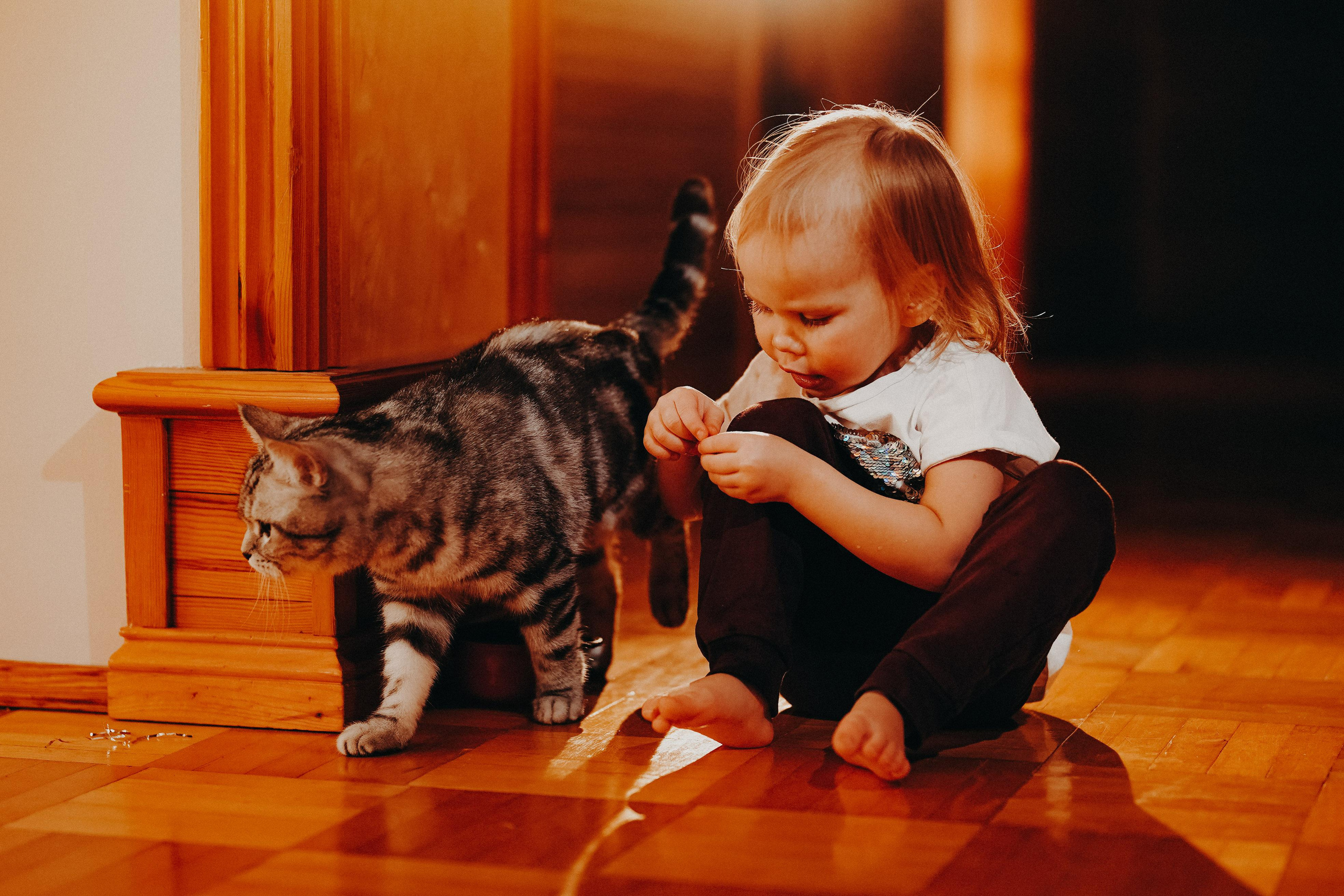 Мама, папа, новый дом. Ася Краснова