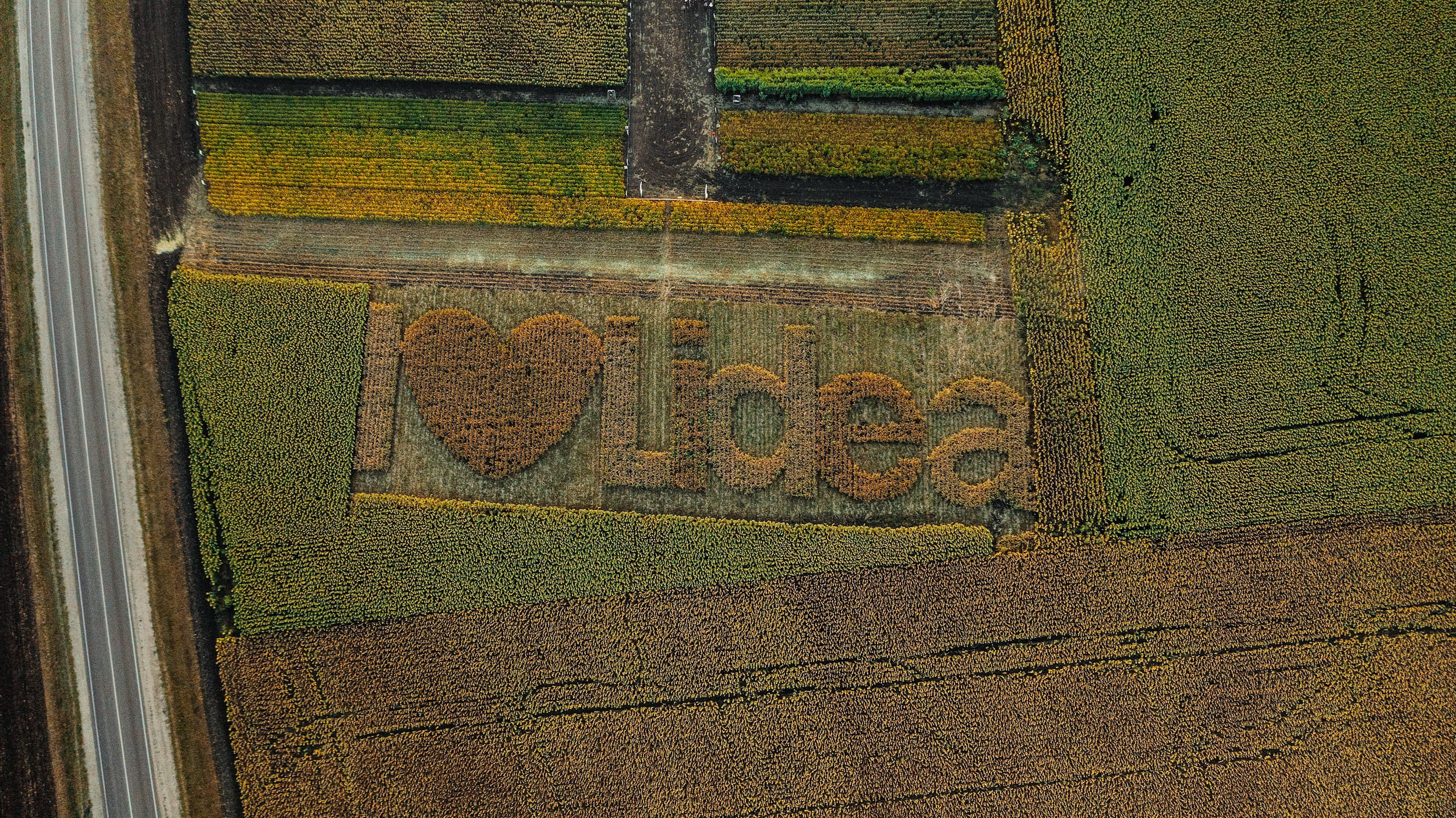 LIDEA. Владимир Дьяконов — Индустриальный и репортажной фотограф в России