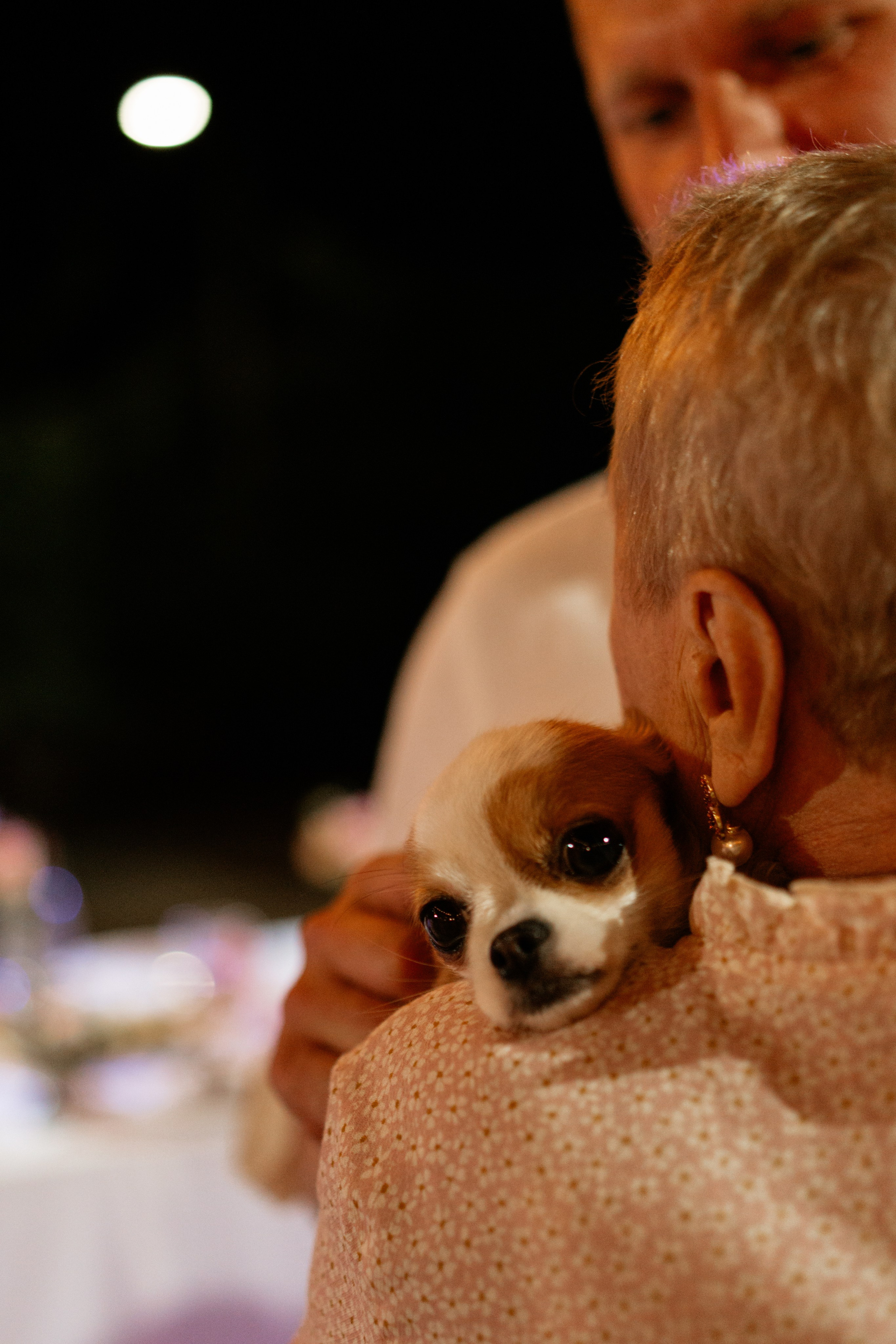 Z&A. Фотограф и Видеограф Севастополь Крым