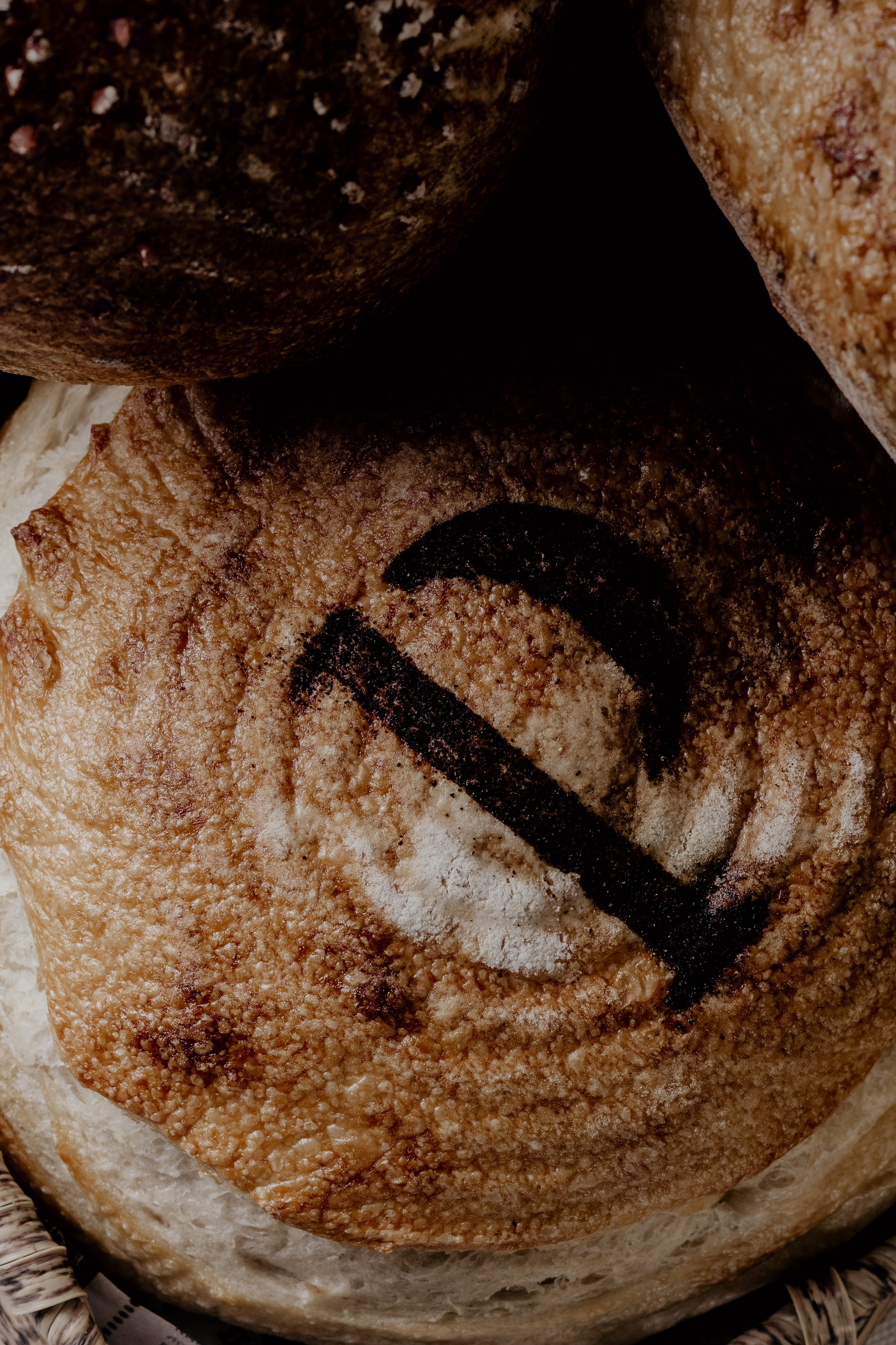 Elpan. Свадебный фотограф в Нальчике Алим Джаппуев