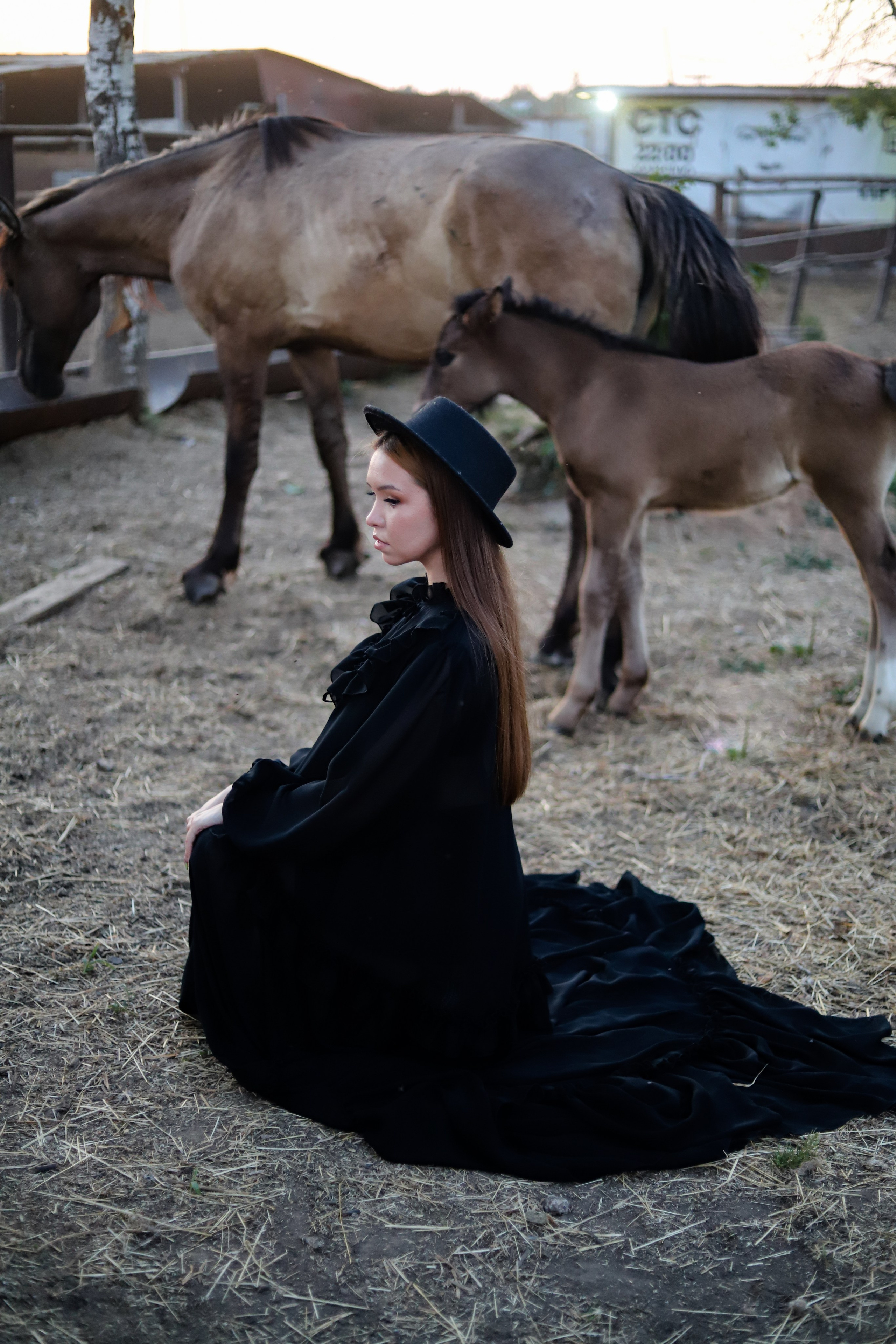 Овечки 08.08. Главная