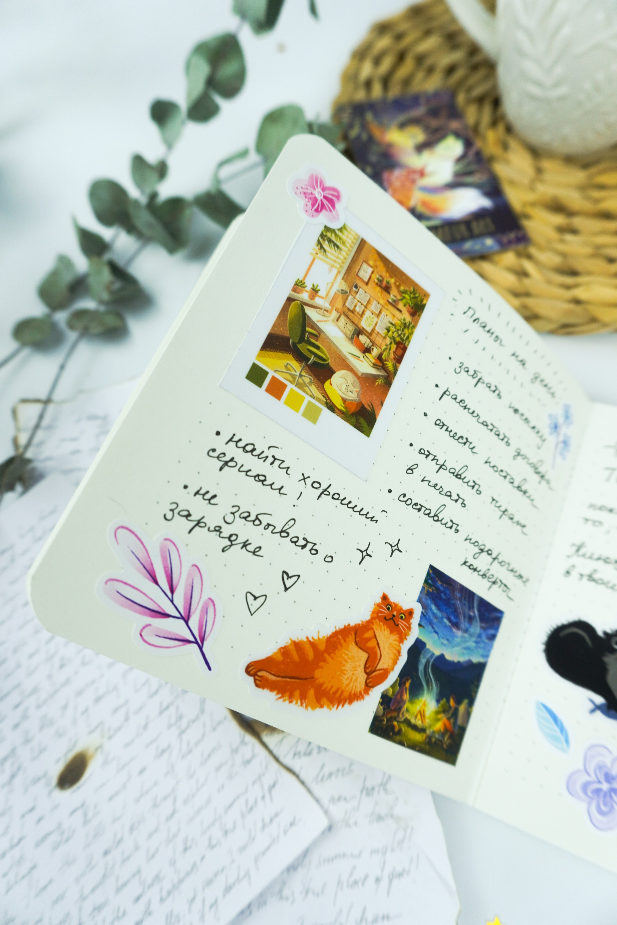 Канцелярия. Кузнецова Мария — профессиональный фотограф в Санкт-Петербурге | Предметная фотосъёмка, модельные тесты, актёрское портфолио, концерты