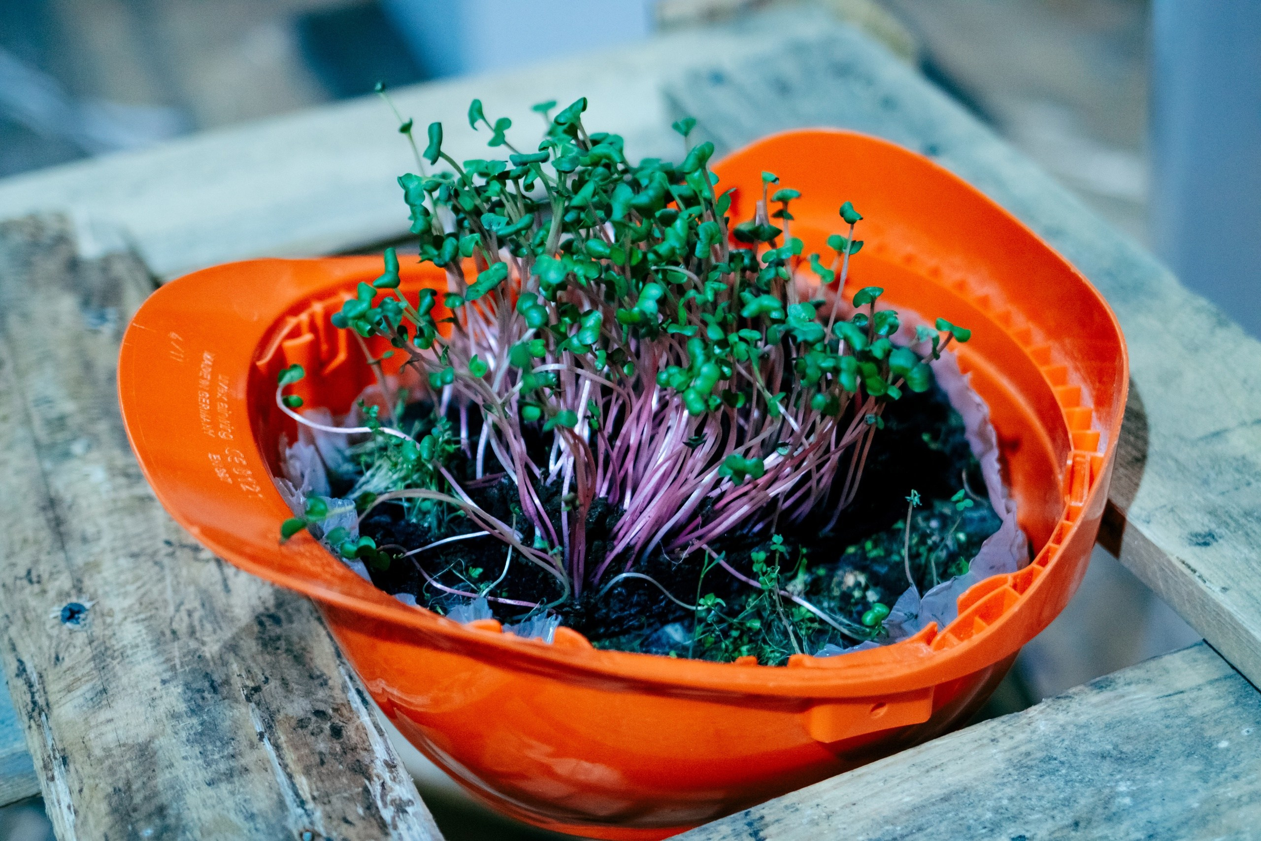 Сакральный инспиратор. Ангелина Богданова, междисциплинарная художница