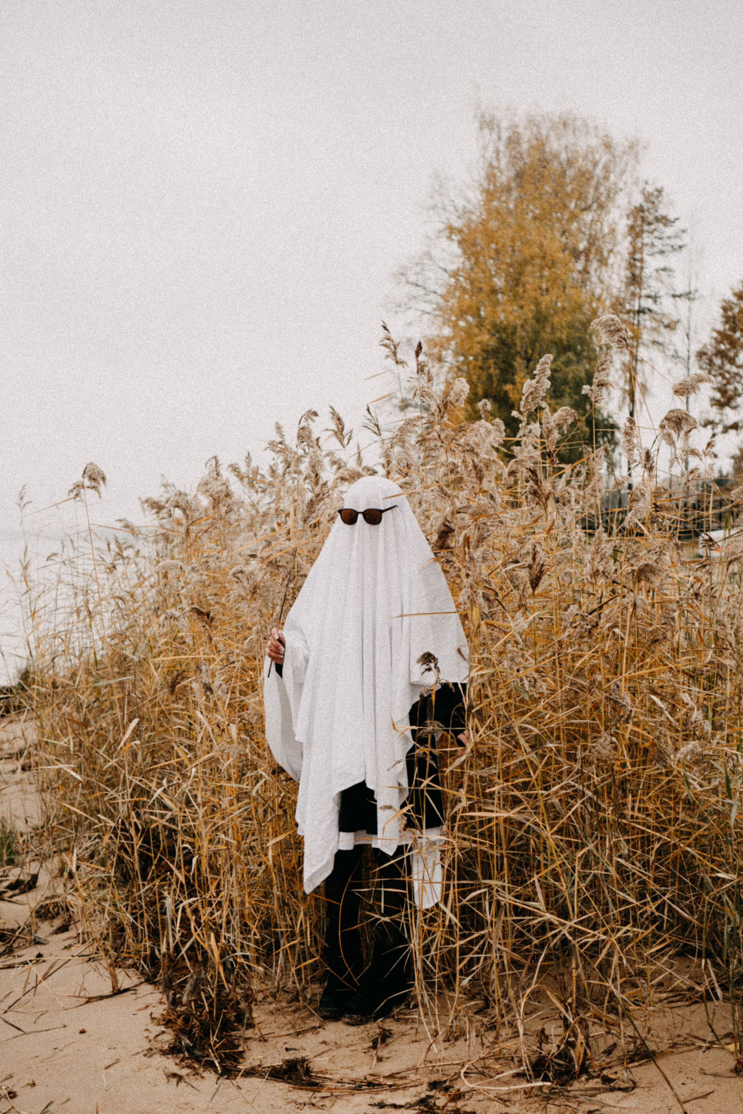 Осеняя. Профессиональный фотограф, Санкт-Петербург — Виктория Богомолова