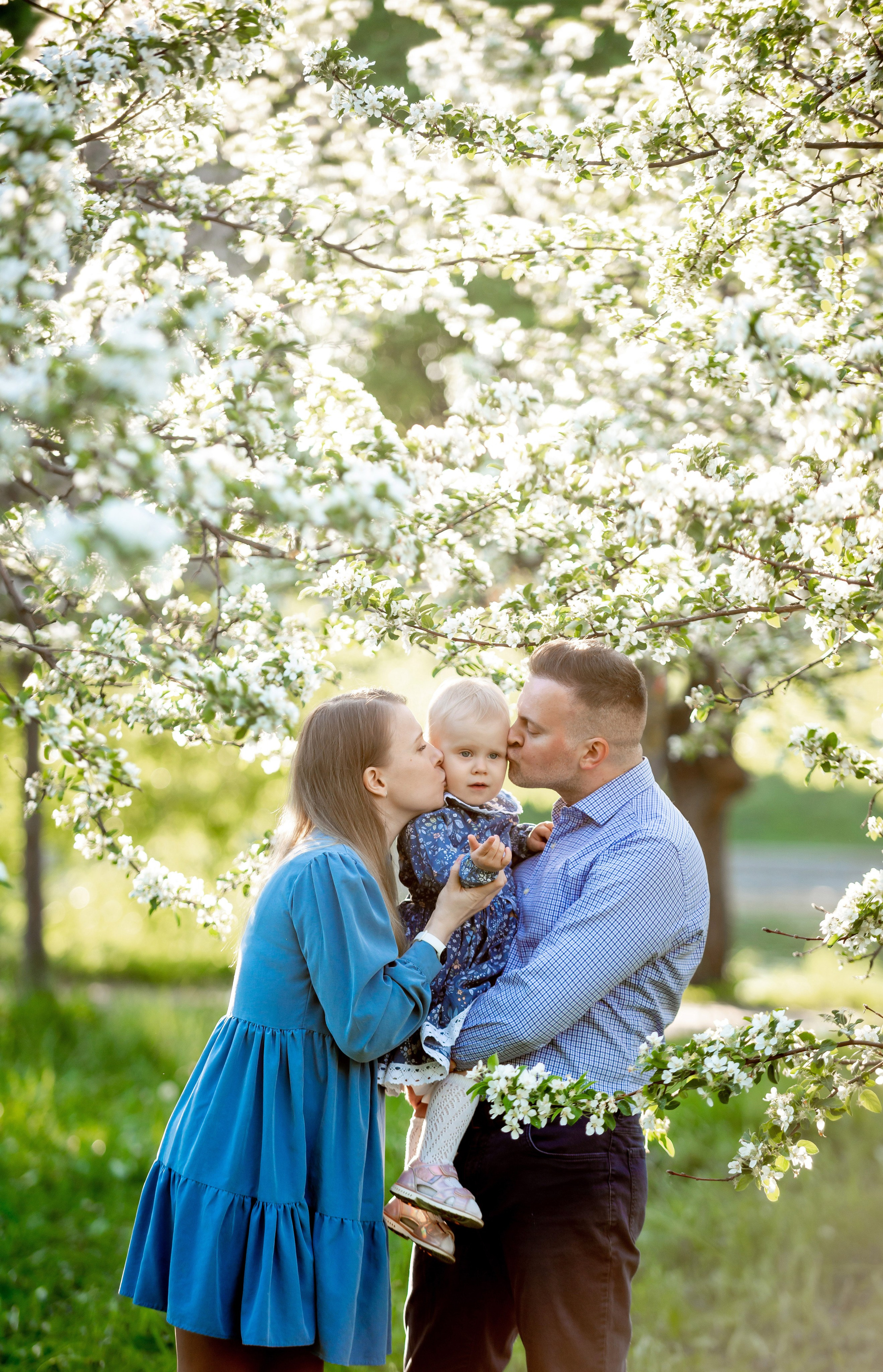Ника и родители в розовых яблонях. Портретный, семейный и свадебный фотограф в Санкт-Петербурге и в Пушкине Ширяев Денис