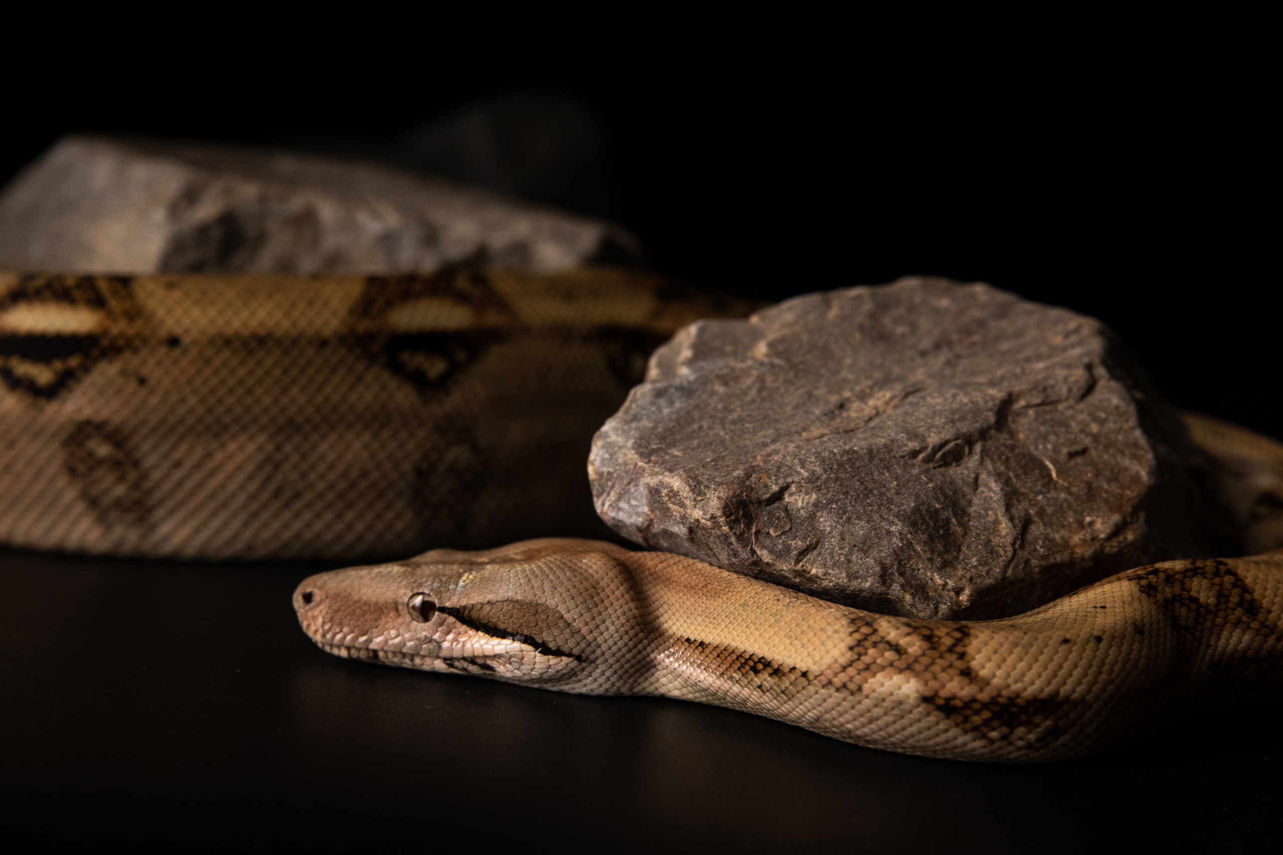 Отзывы. Фотограф Владимир Зиновьев