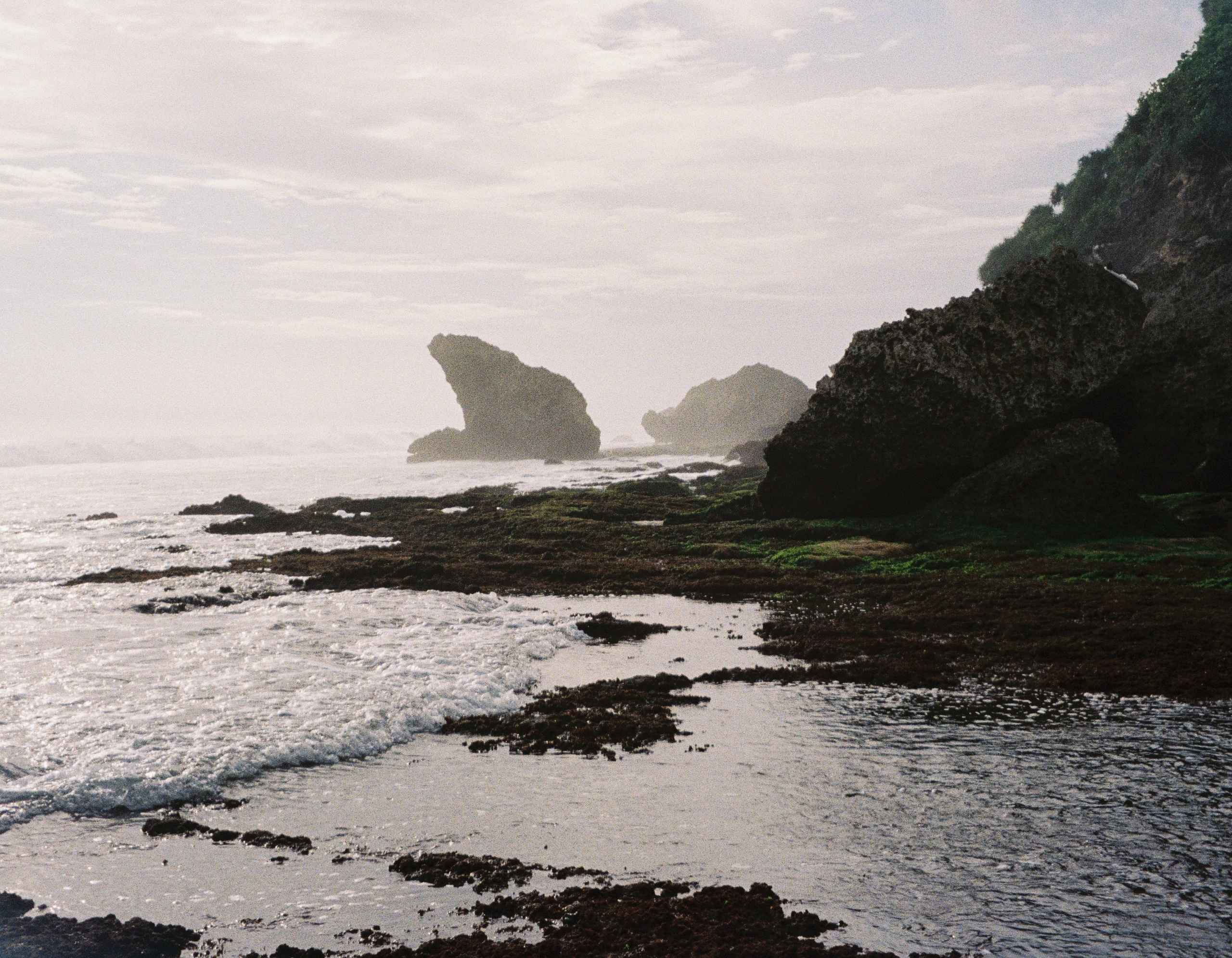 NYANG NYANG. Любовь Моргасова [LU SPRING]: Фотограф и куратор