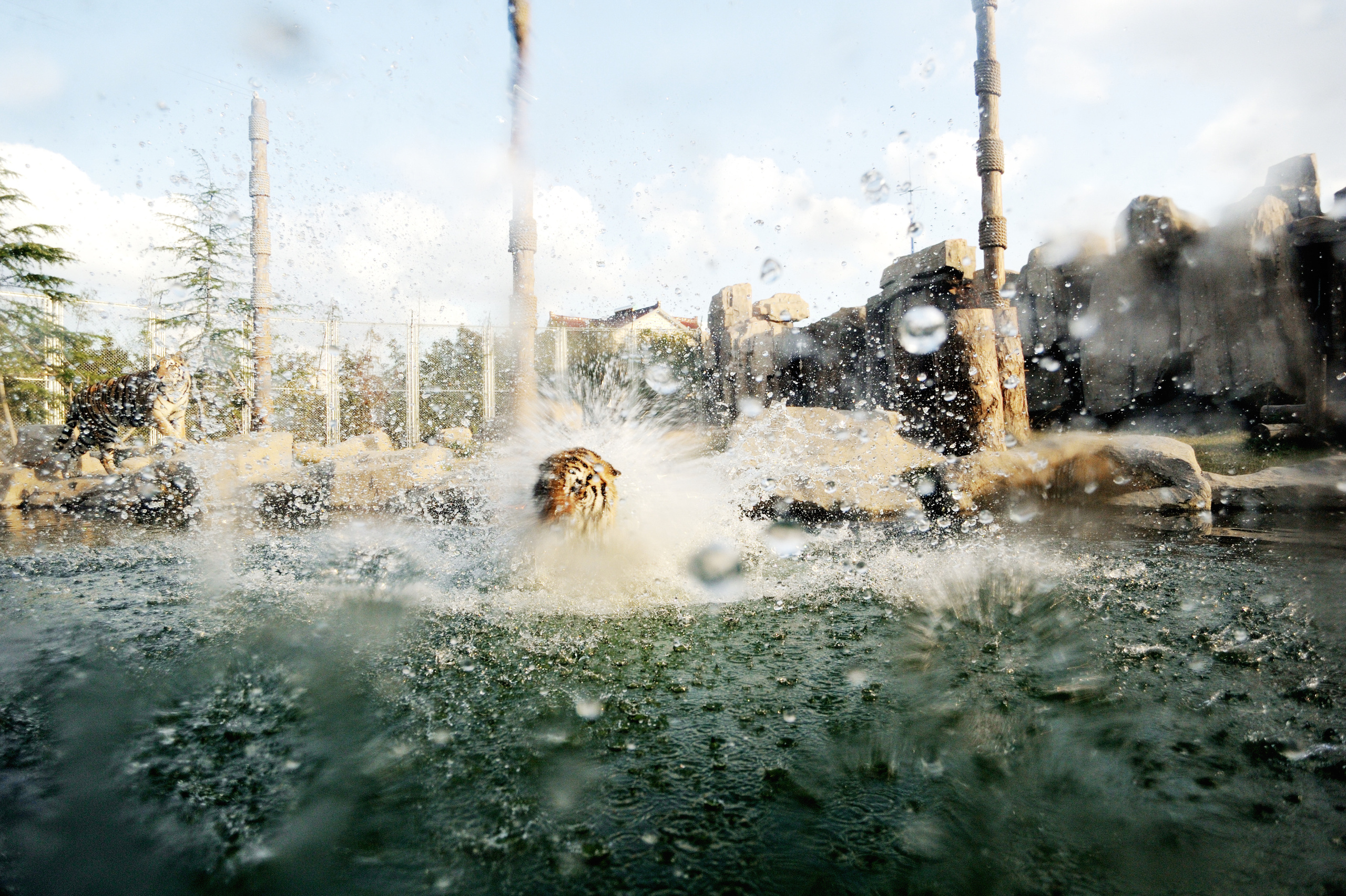 Китай. Коммерческий фотограф Сергей Татаринцев