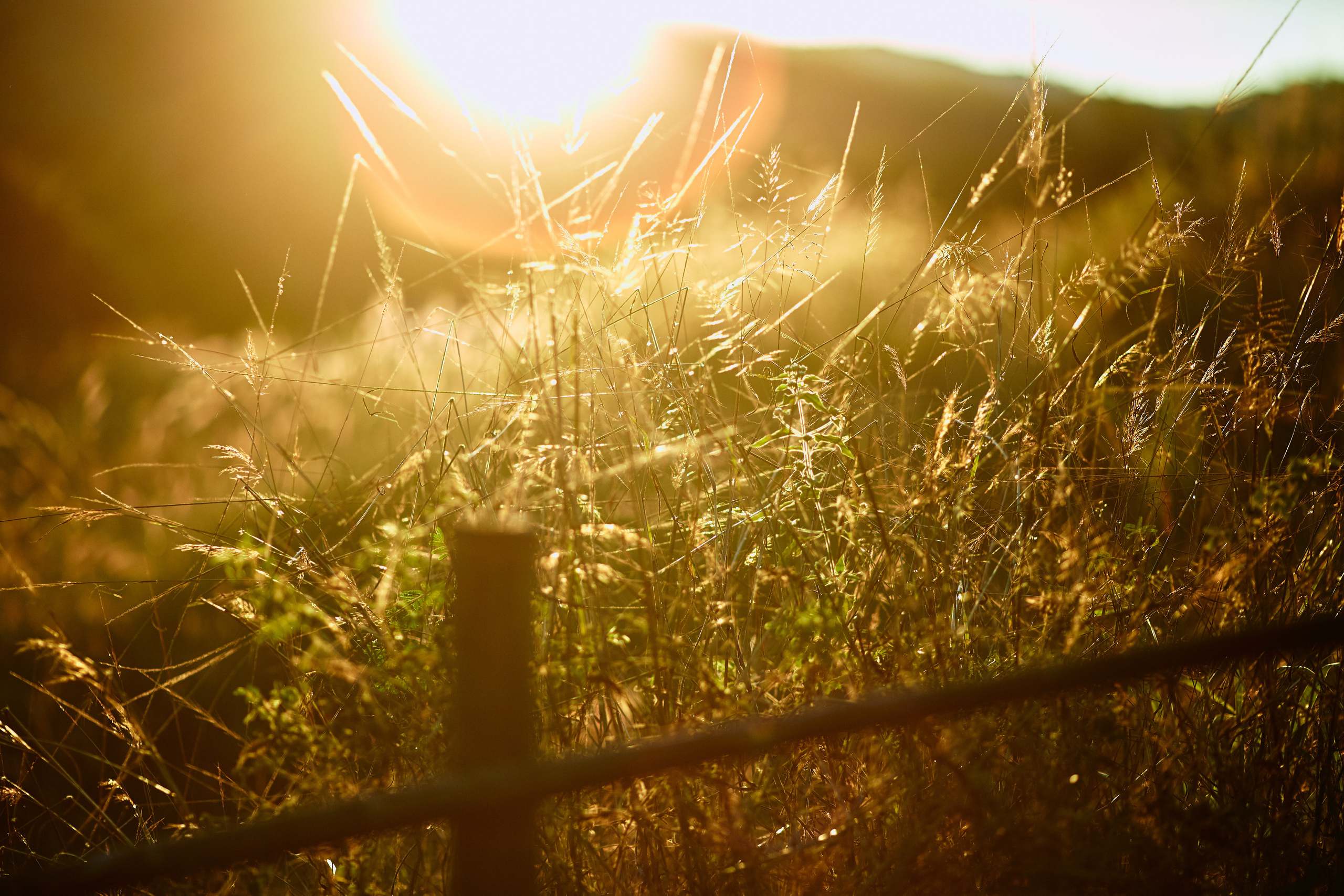 Тайланд. Коммерческий фотограф Сергей Татаринцев