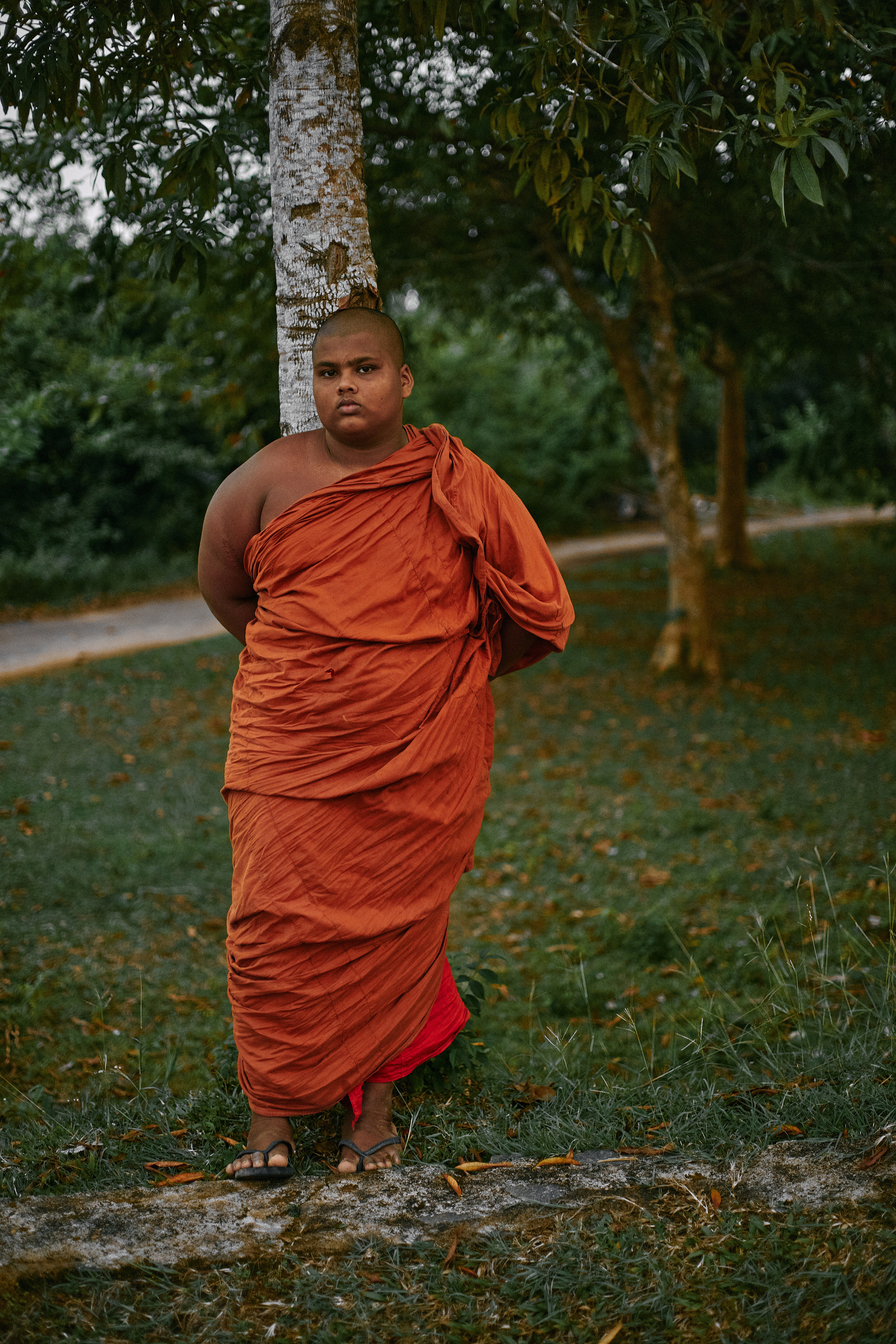 Шри-Ланка. Коммерческий фотограф Сергей Татаринцев