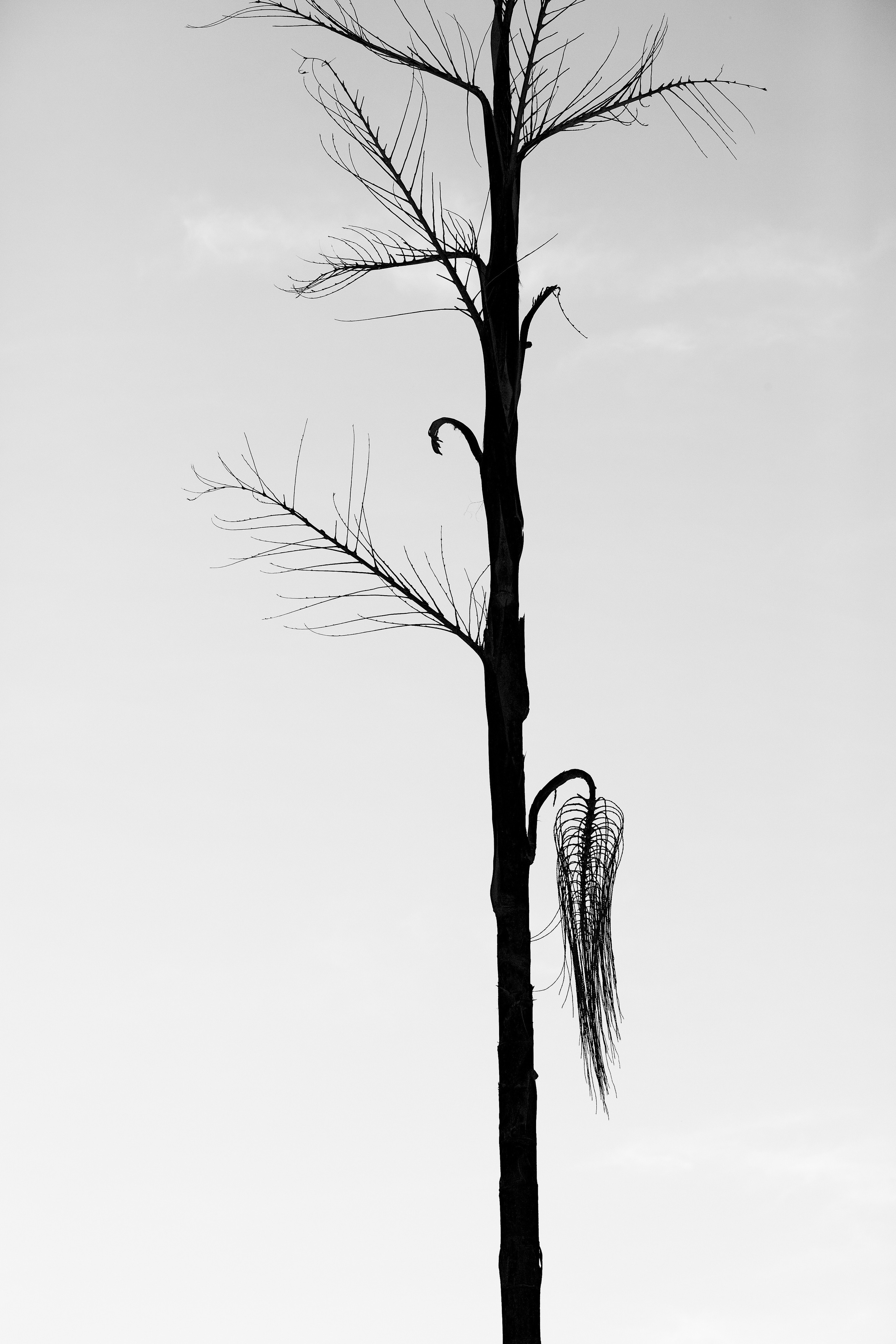 Тайланд. Коммерческий фотограф Сергей Татаринцев