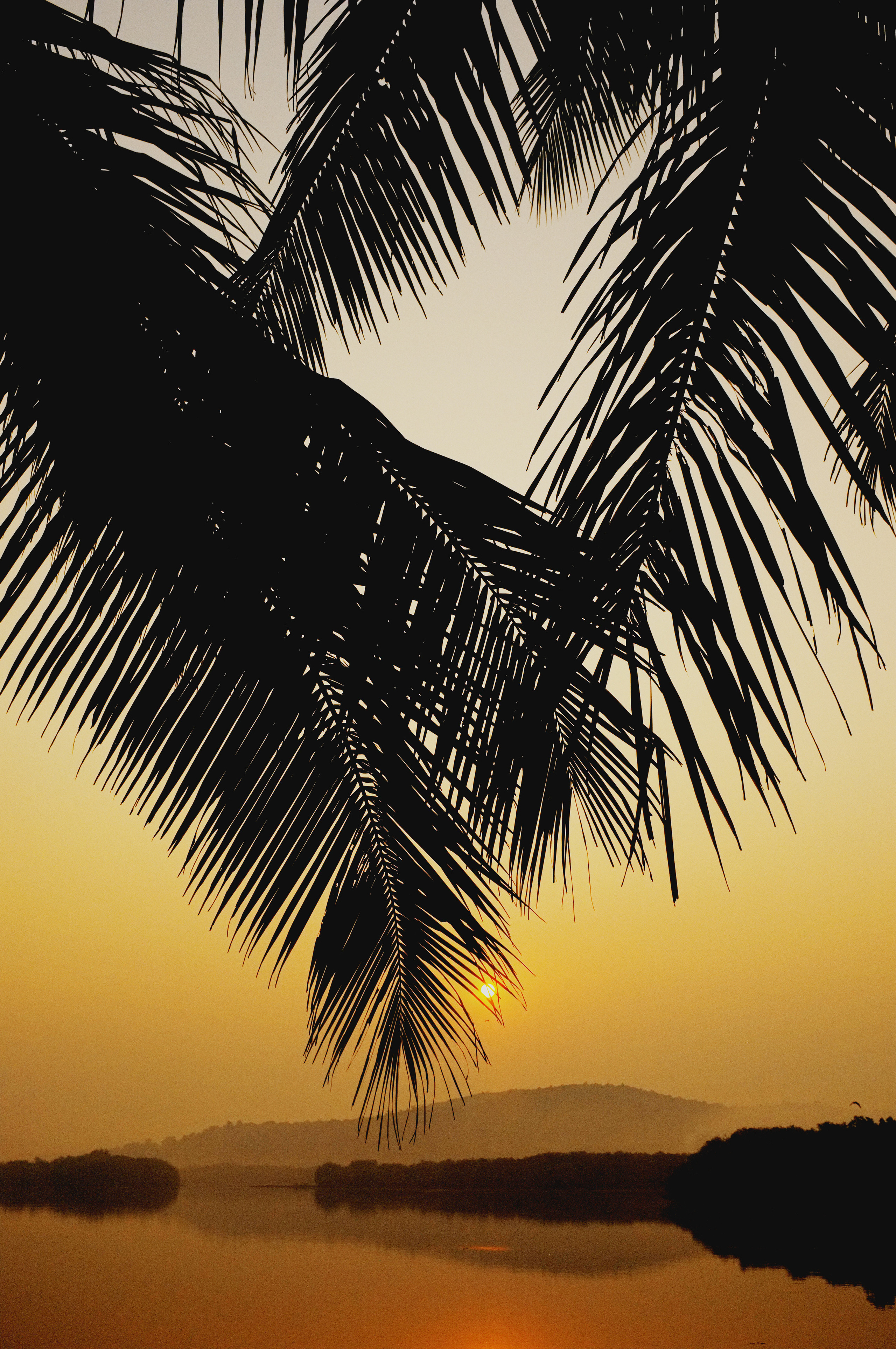 Индия. Коммерческий фотограф Сергей Татаринцев