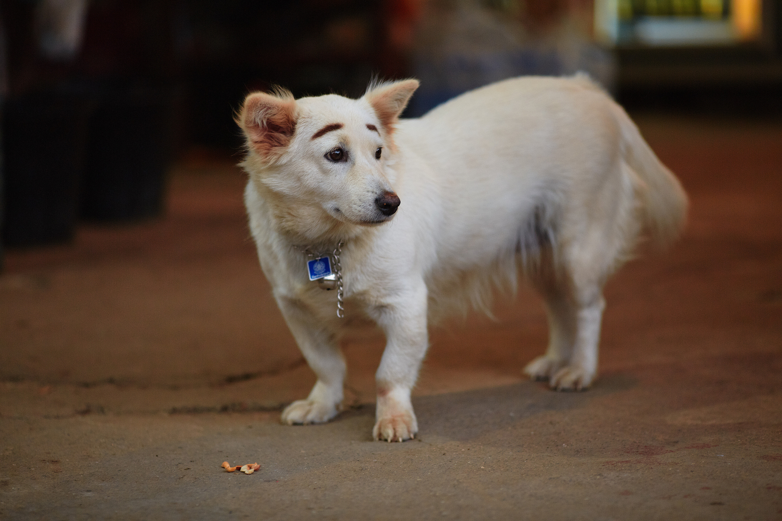 Тайланд. Коммерческий фотограф Сергей Татаринцев