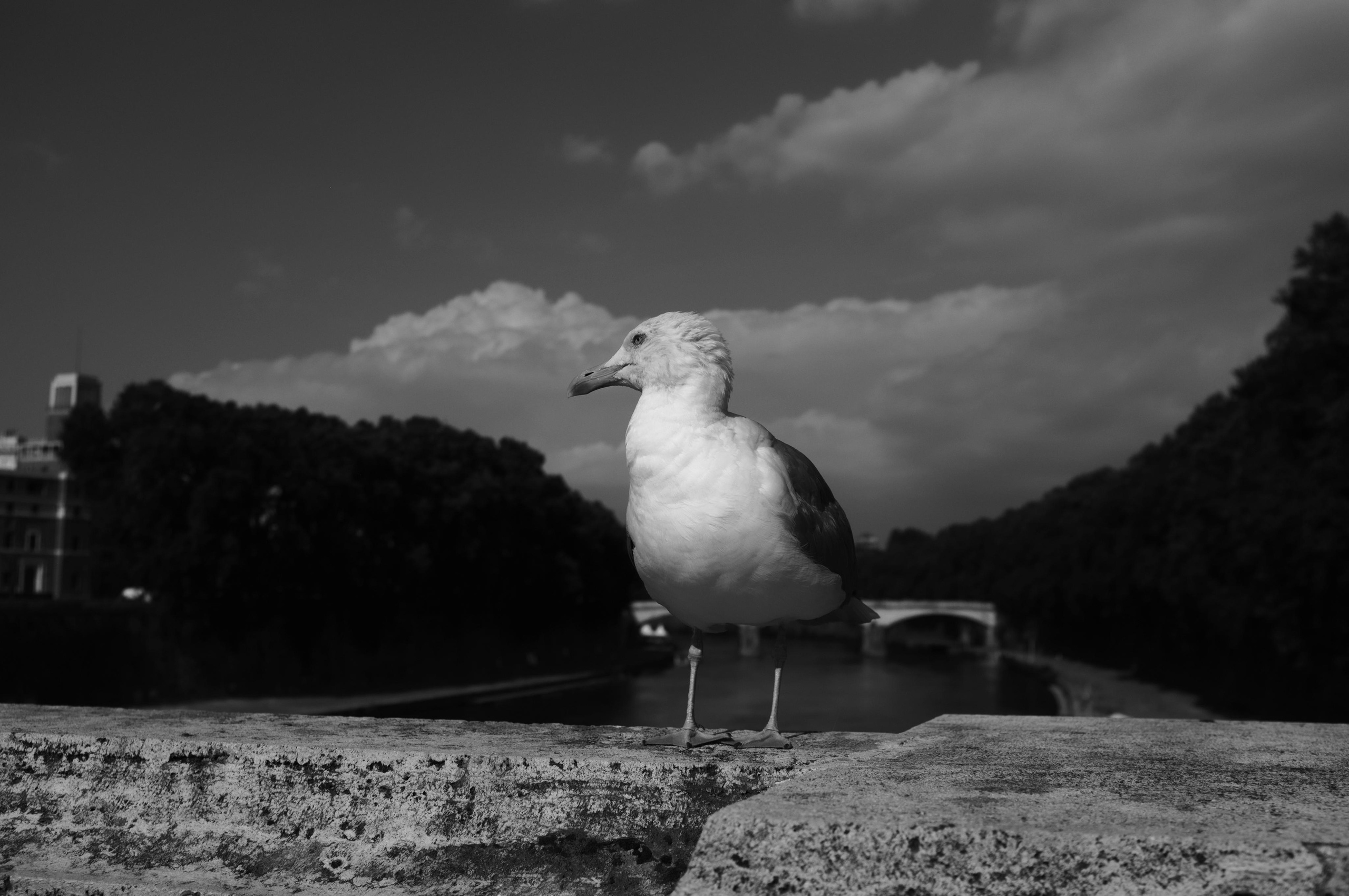 Италия. Коммерческий фотограф Сергей Татаринцев