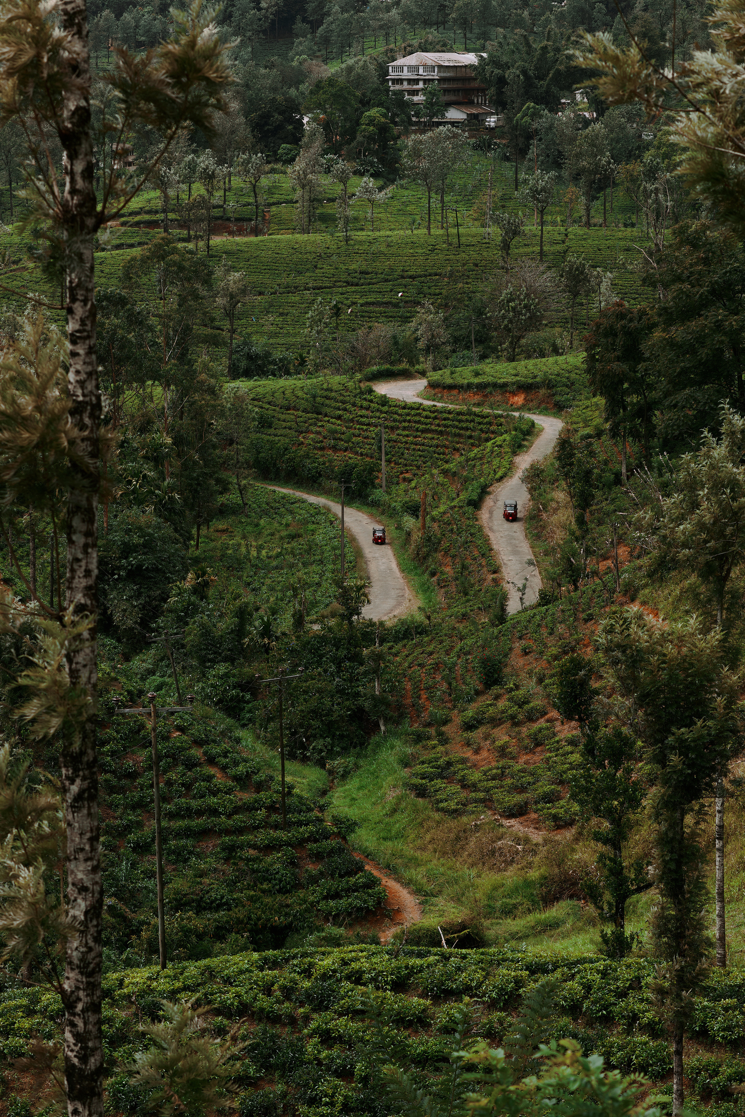 Шри-Ланка. Коммерческий фотограф Сергей Татаринцев