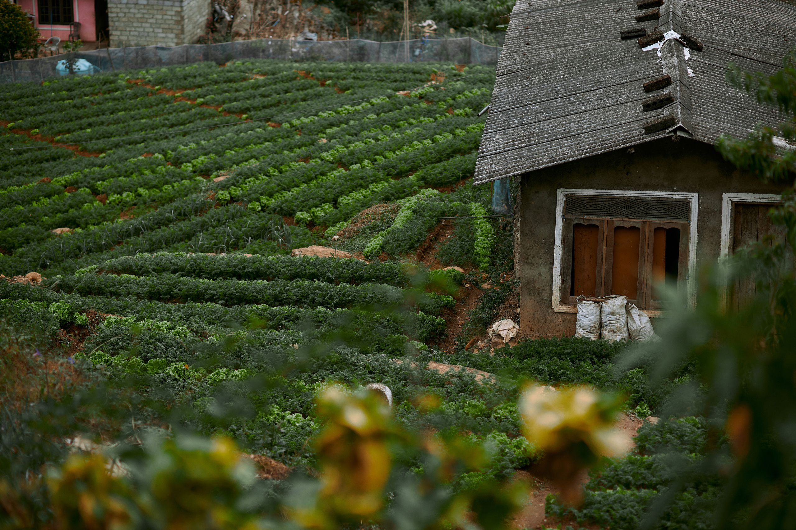 Шри-Ланка. Коммерческий фотограф Сергей Татаринцев