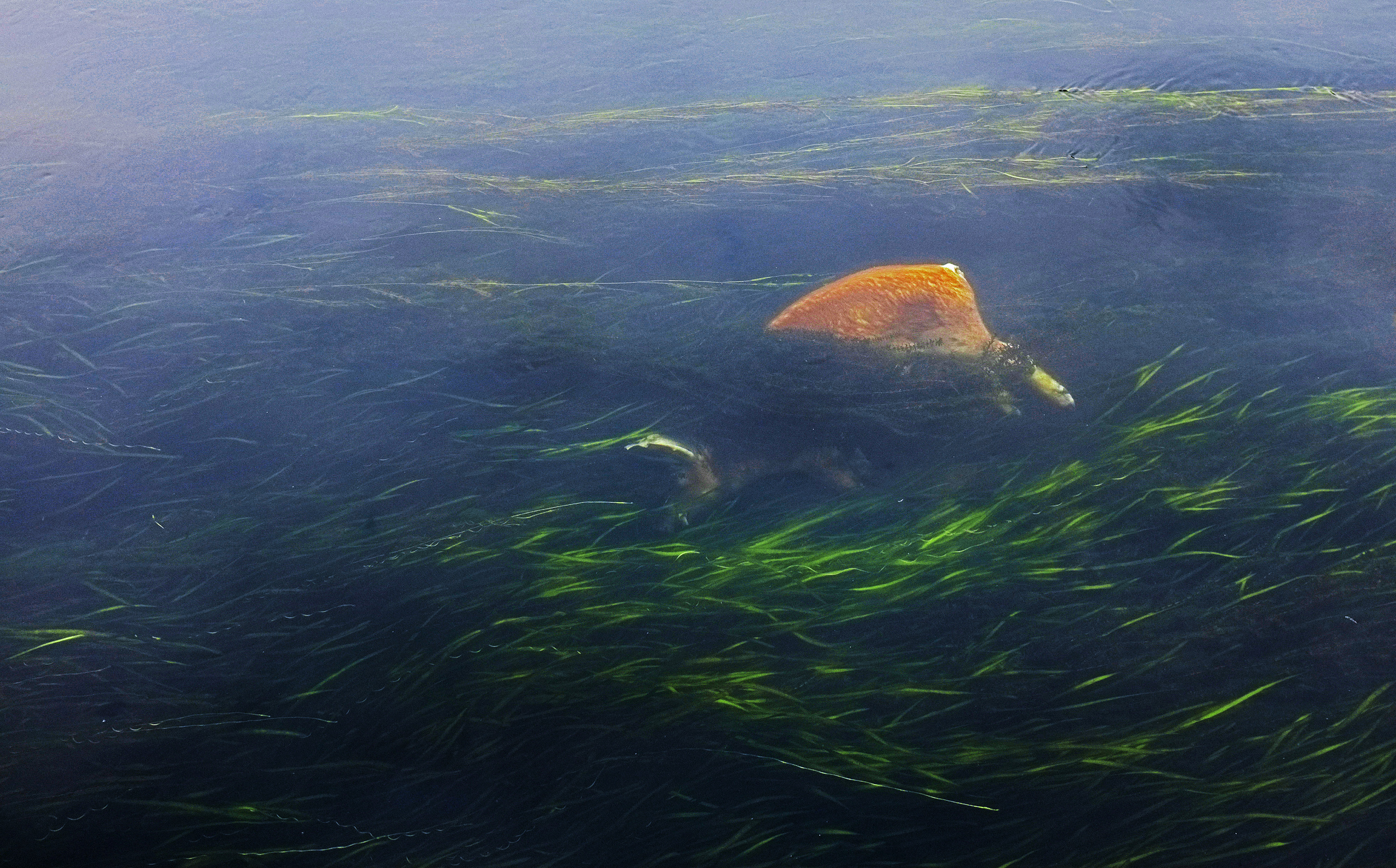 Китай. Коммерческий фотограф Сергей Татаринцев