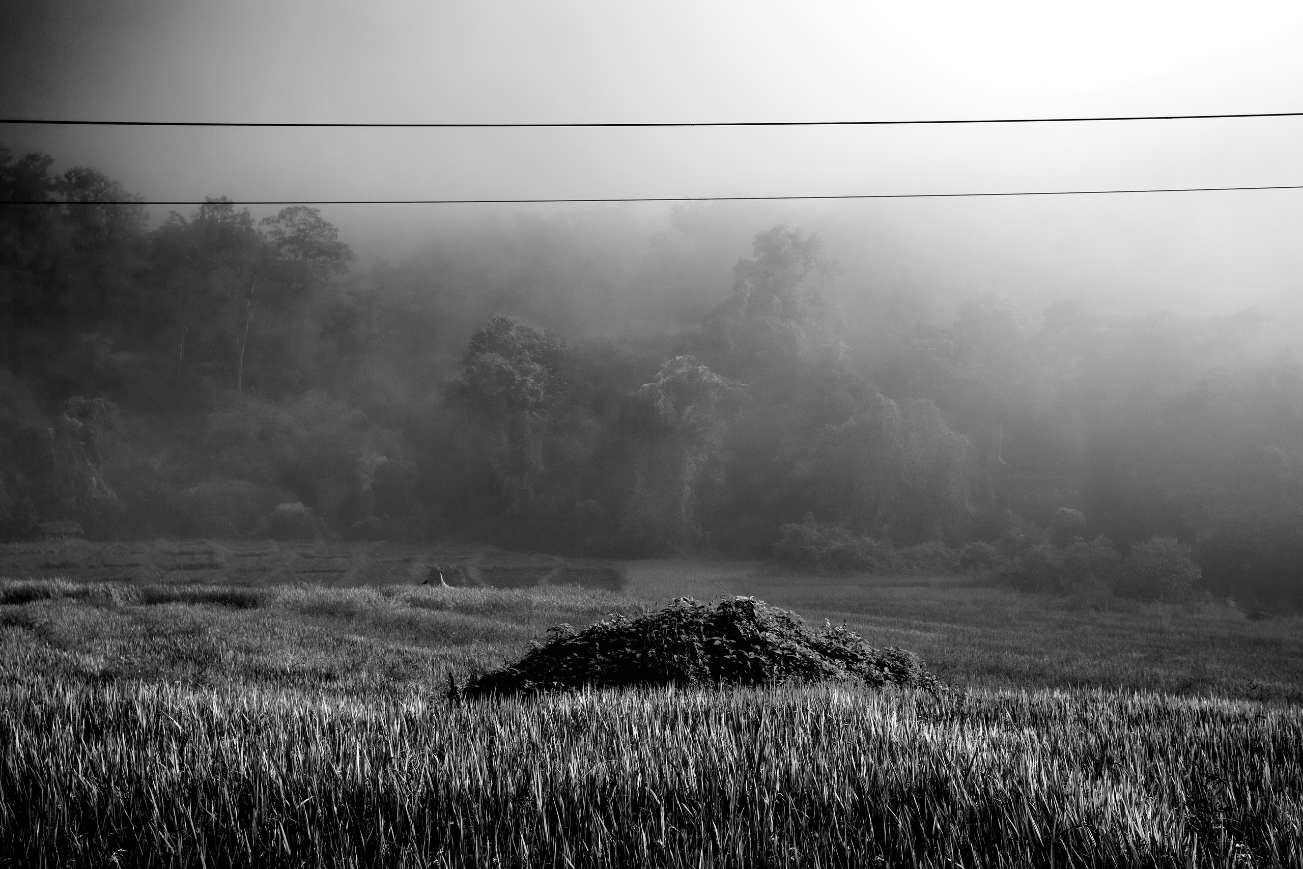 Тайланд. Коммерческий фотограф Сергей Татаринцев