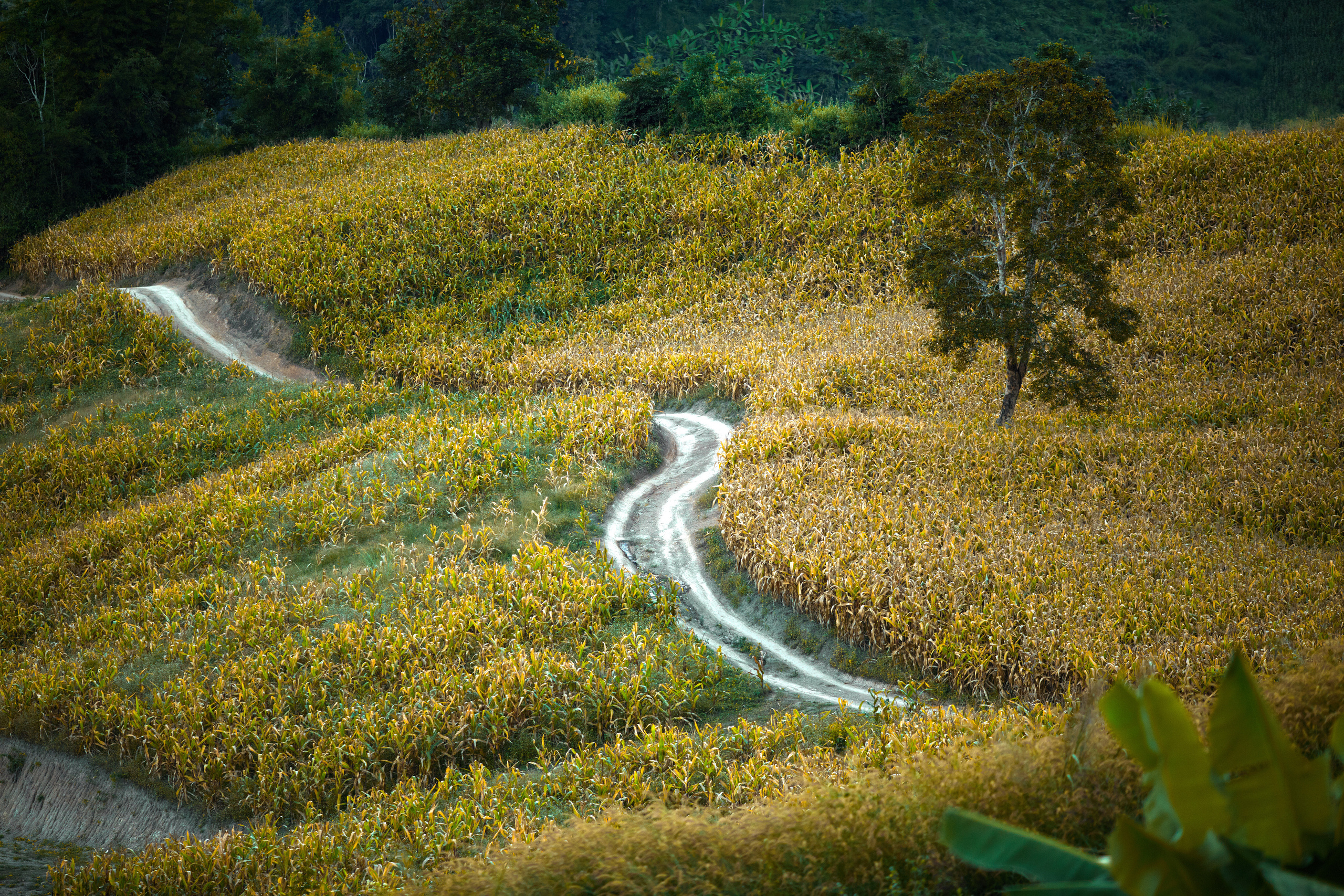 Тайланд. Коммерческий фотограф Сергей Татаринцев