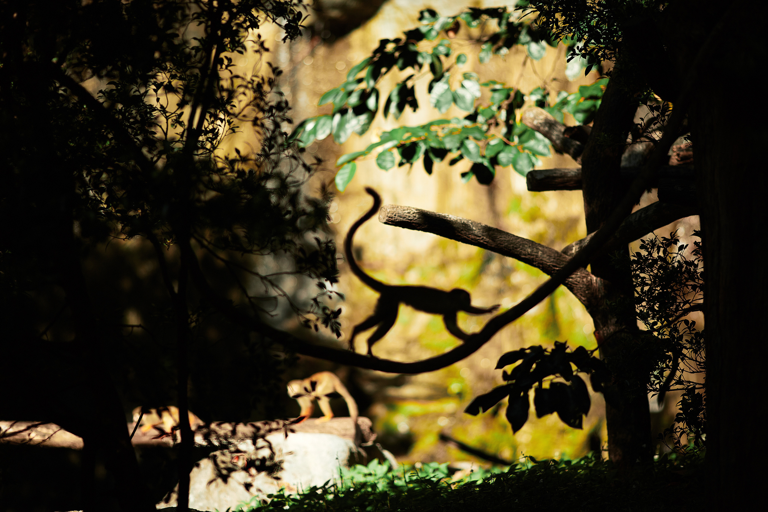 Тайланд. Коммерческий фотограф Сергей Татаринцев