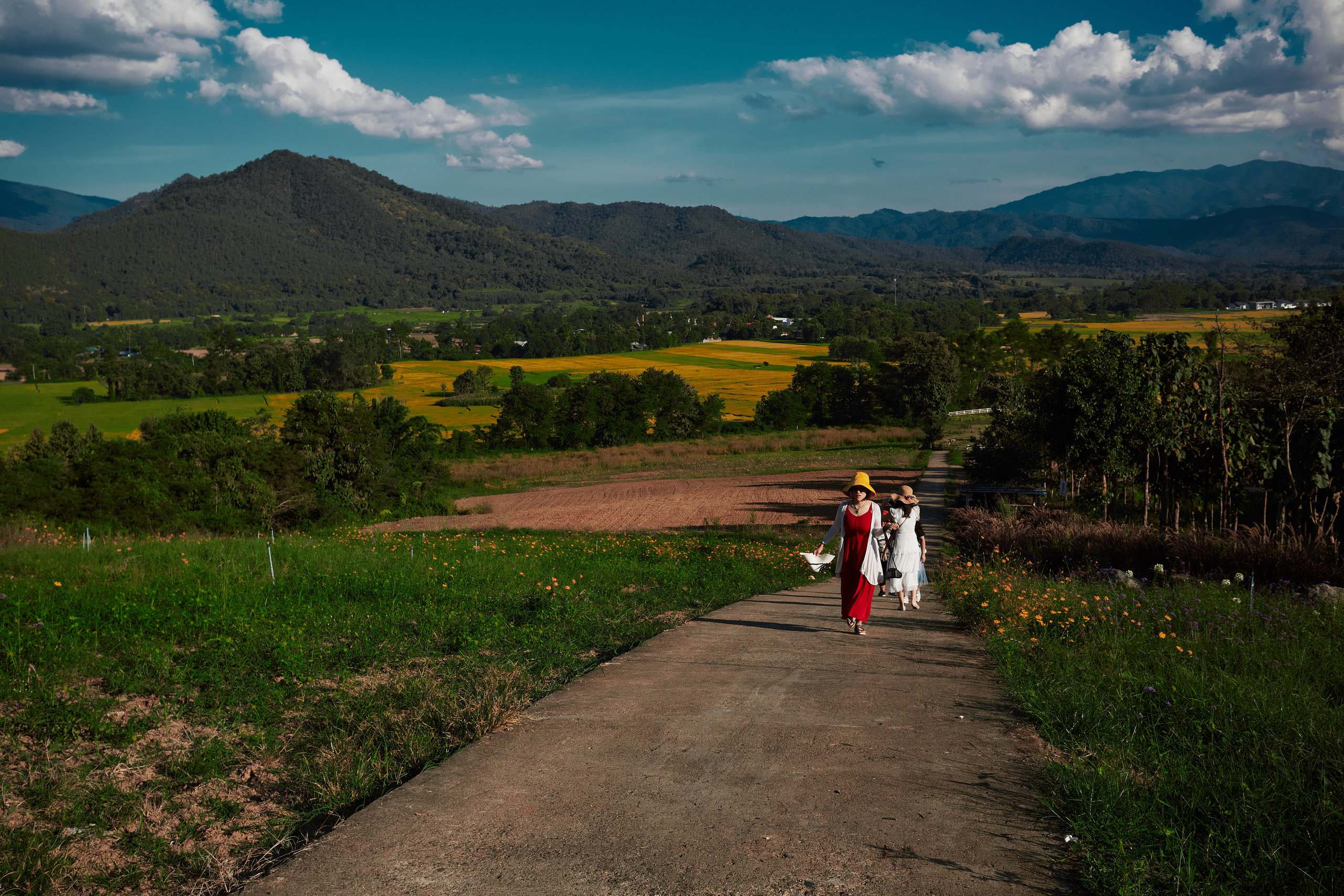 Тайланд. Коммерческий фотограф Сергей Татаринцев