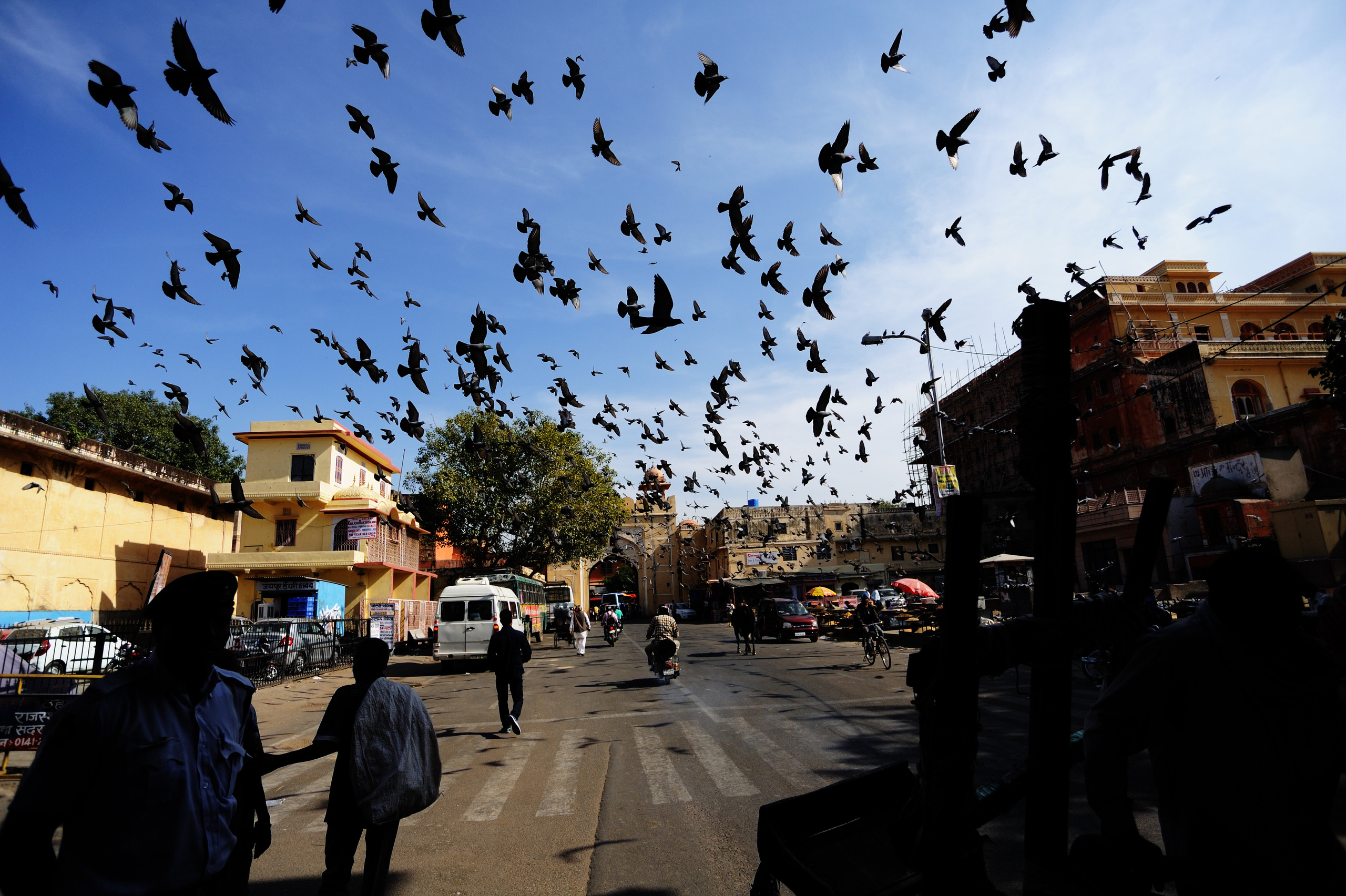 Индия. Коммерческий фотограф Сергей Татаринцев