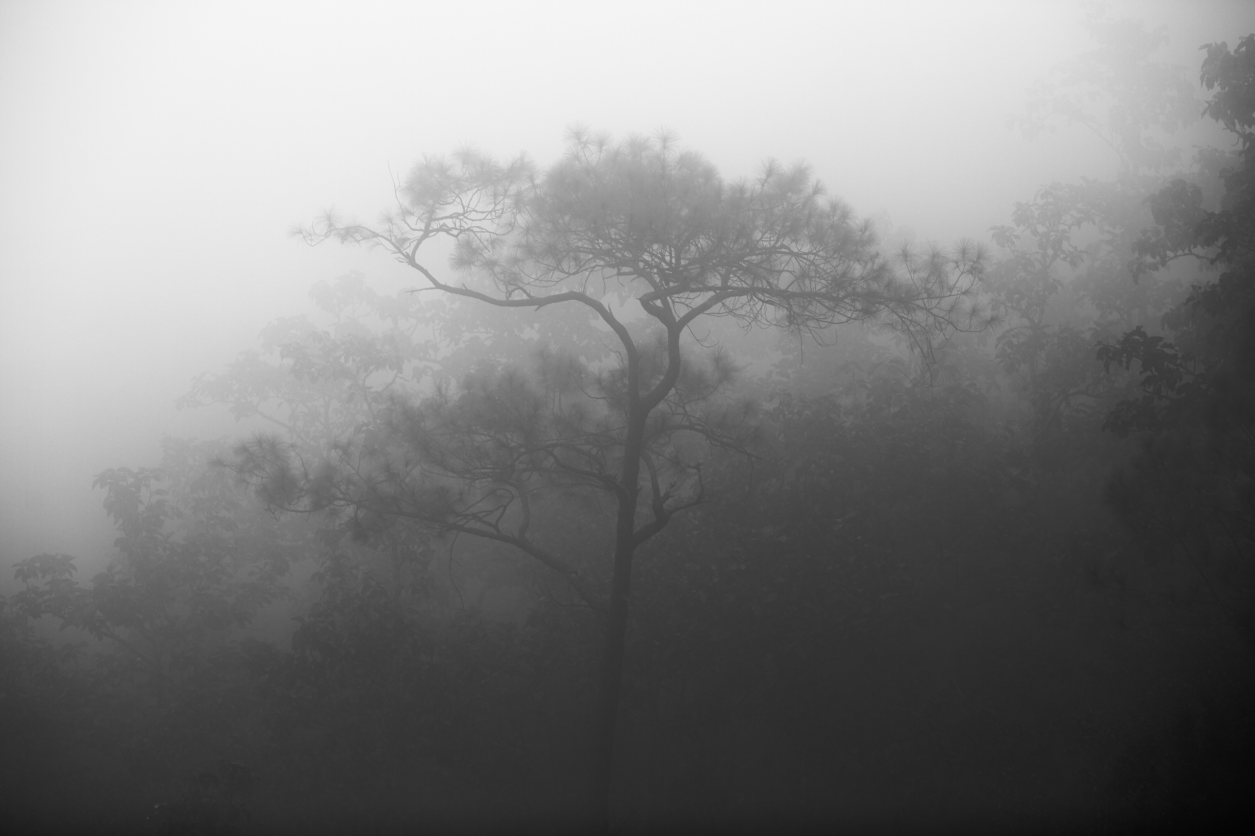 Тайланд. Коммерческий фотограф Сергей Татаринцев