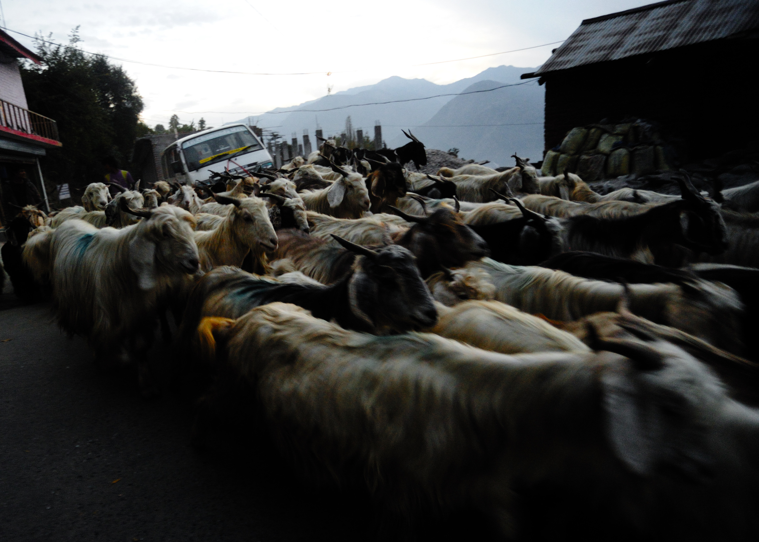 Индия. Коммерческий фотограф Сергей Татаринцев