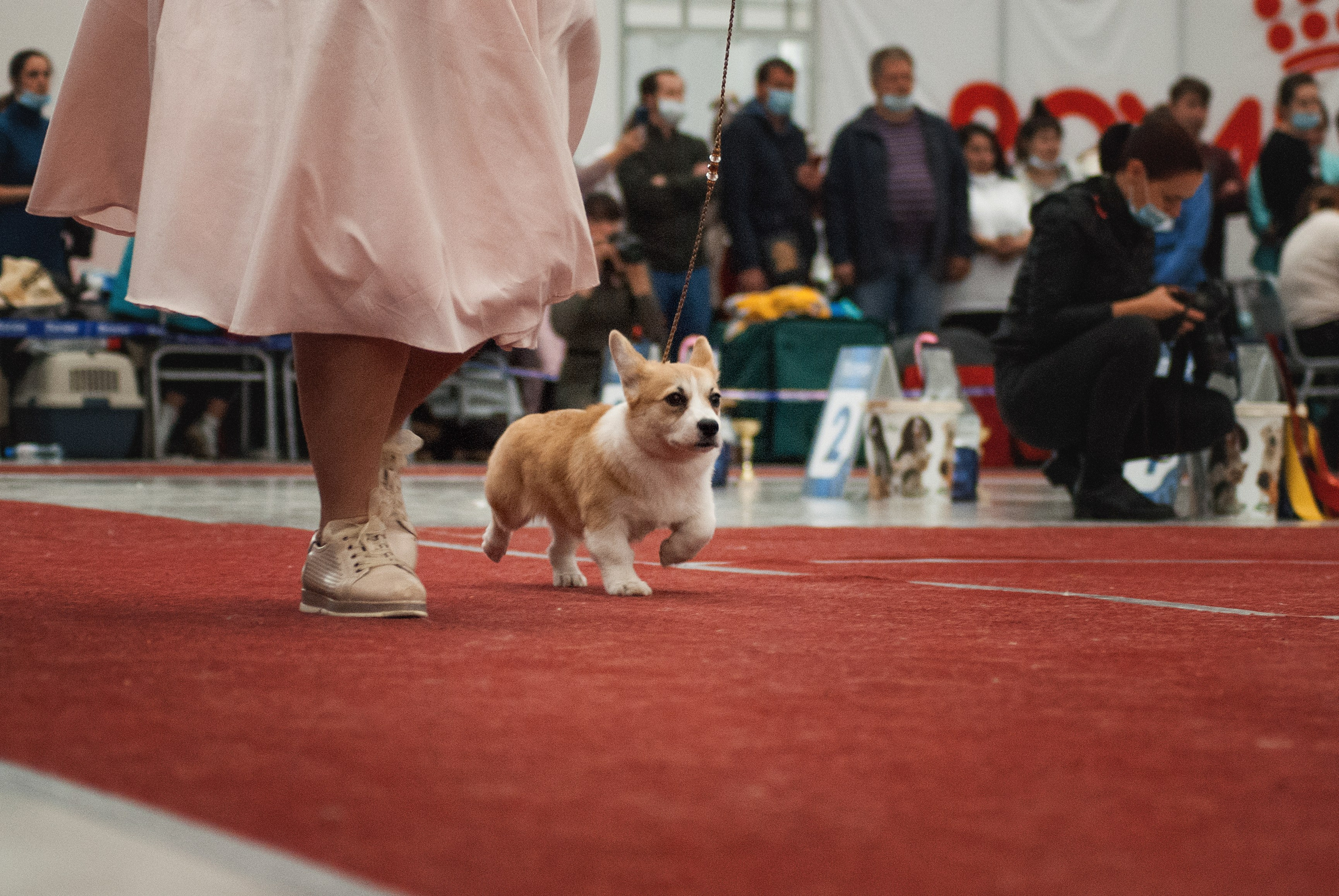 Шоу. Фотограф в Тюмени Лизавета Сапицкая