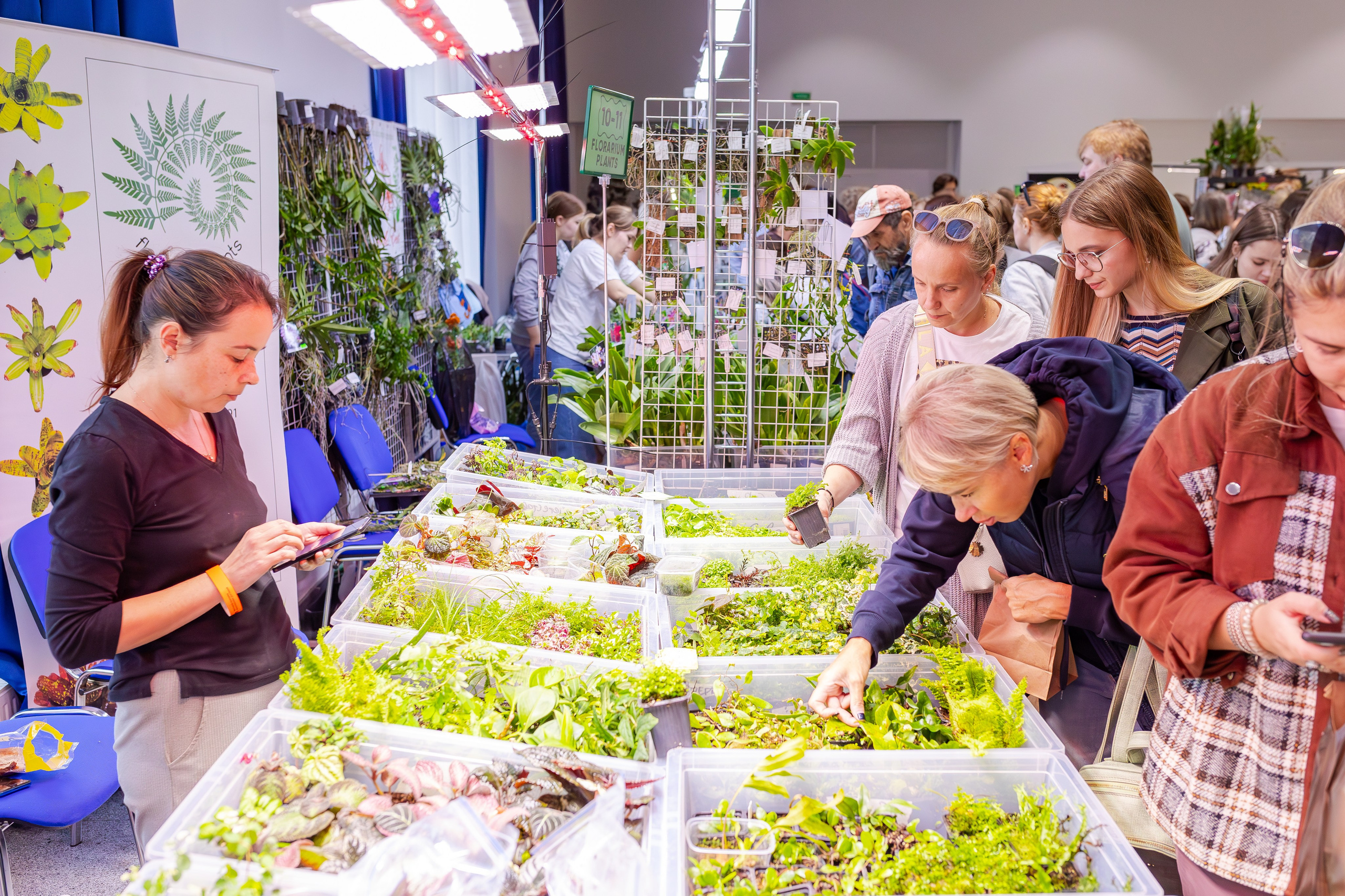 Орхидиум сентябрь 2025. Александра Куликова фотограф, Москва